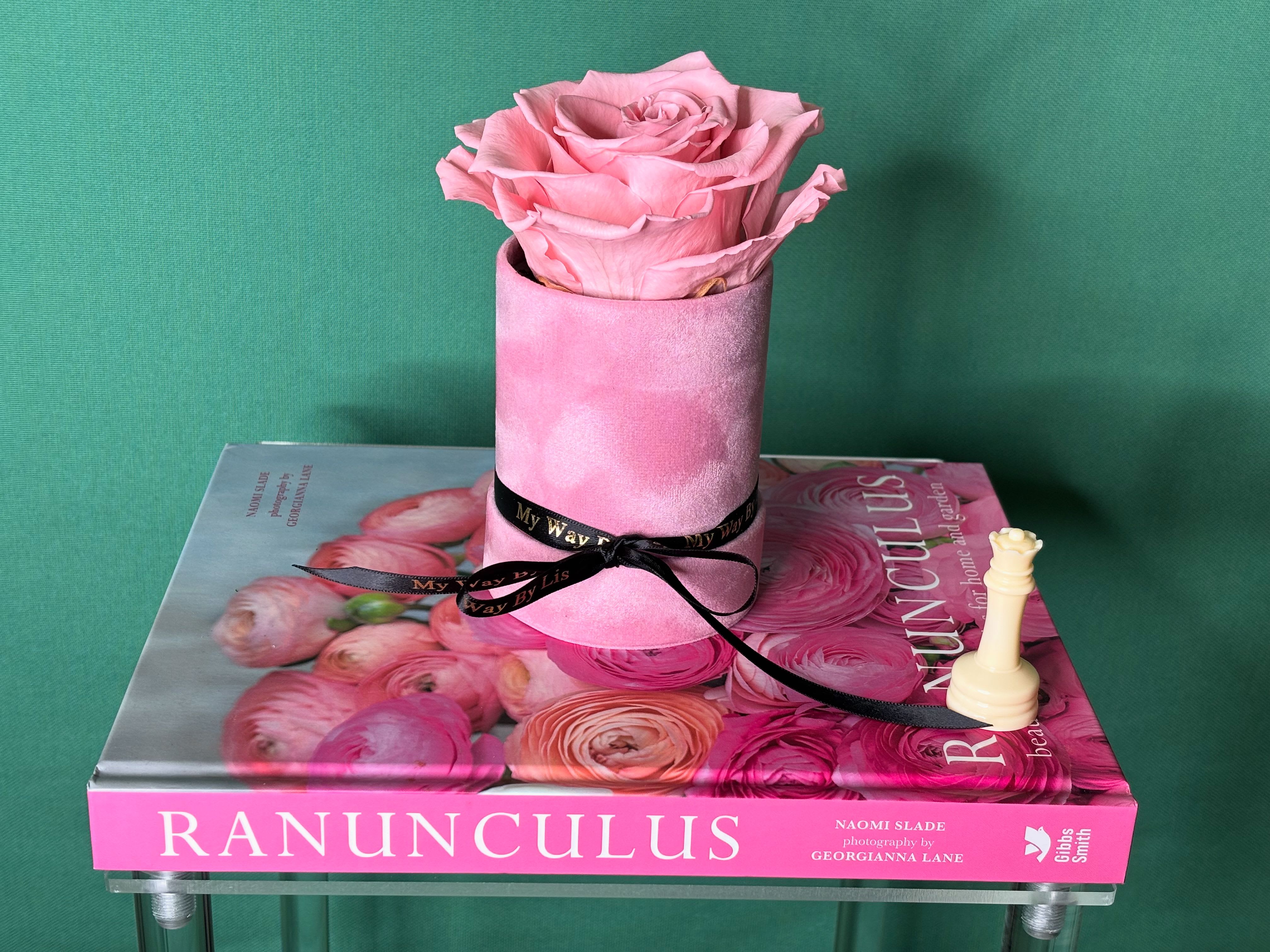 Violet. (PRESERVED FLOWERS) Violet. (PRESERVED FLOWERS) - Preserved rose.