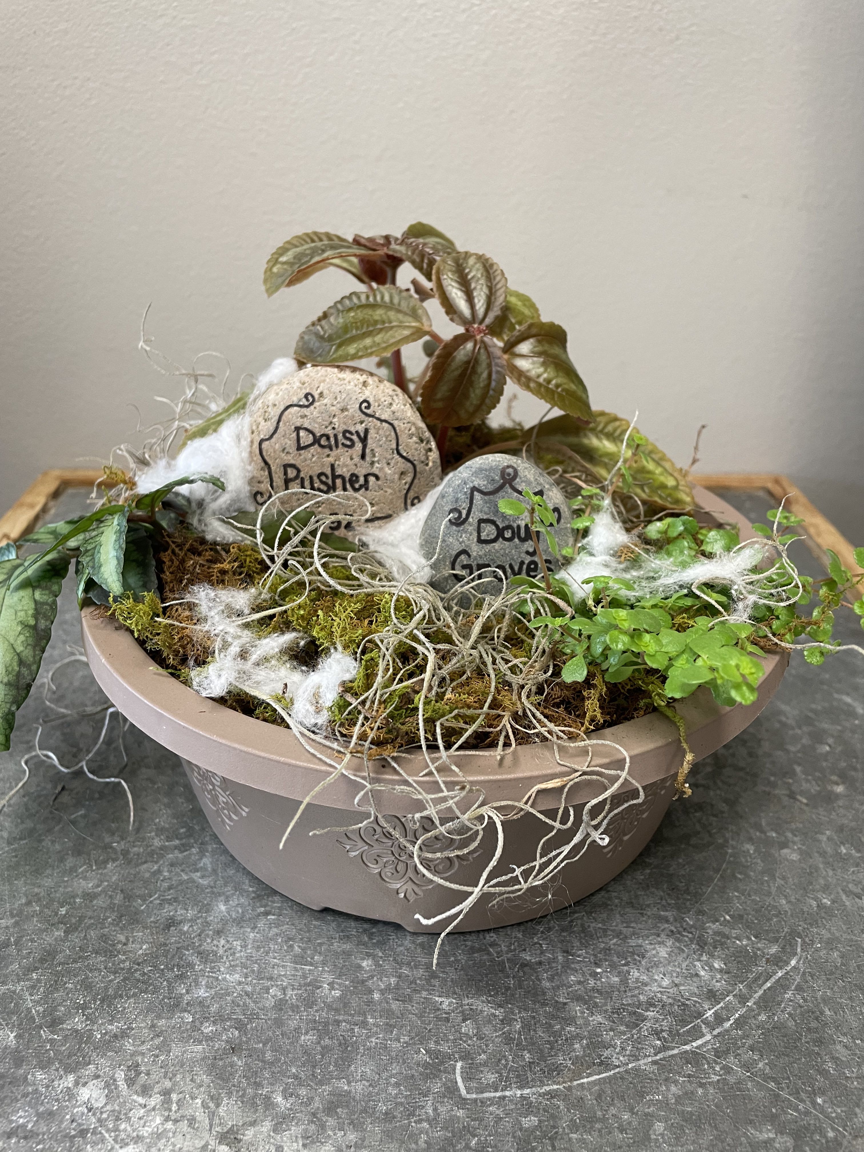 Halloween Graveyard Planter Halloween Graveyard Planter - Celebrate the Halloween season with a fun and festive planter to look like a graveyard. These creeping plants add extra spookiness! Perfect for yourself to decorate your home or office or send to the Halloween loving person in your life!