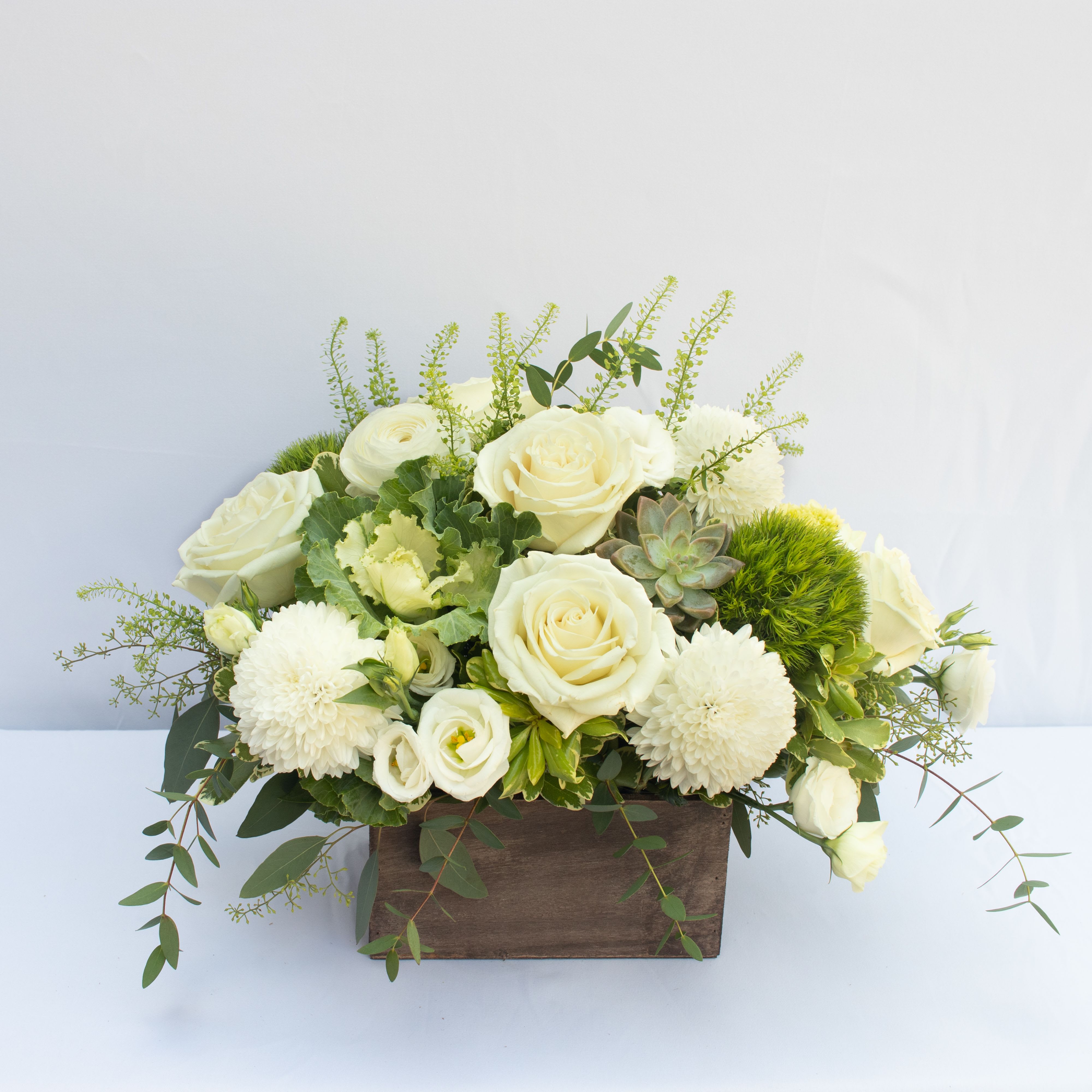 White Rustic Box  - Wooden 7x5 rustic wooden box accented with a succulent. white cremons, green hydrangeas, green dragon, ranunculus, roses and seasonal greenery. 