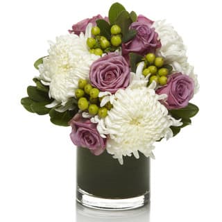 PFM Purple Mod PFM Purple Mod - A classic mix of white mums, purple roses and green berries accented with greens in a chic cylinder glass vase.