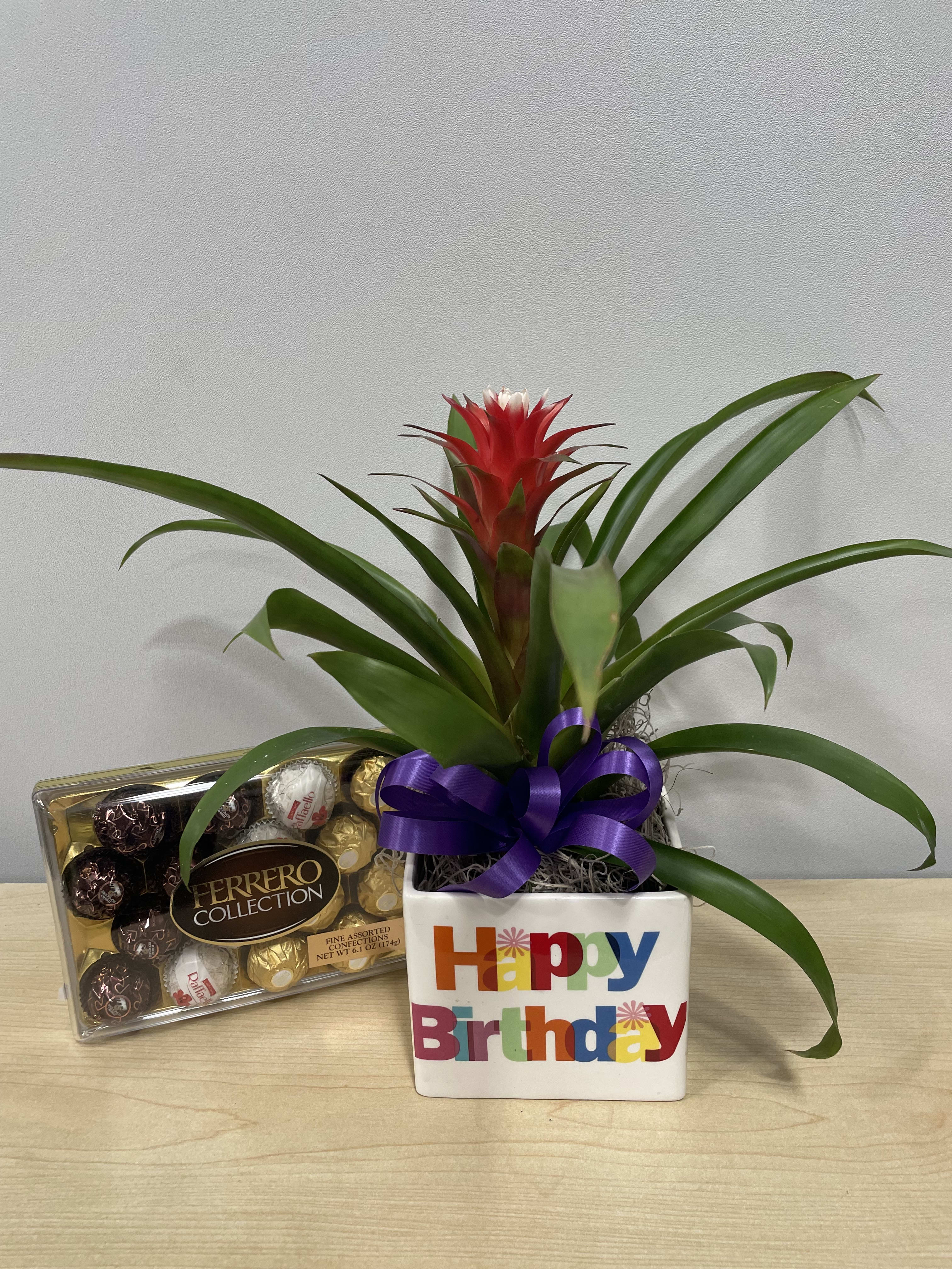 Red Birthday Bromeliad &amp; Chocolates  - As shown  