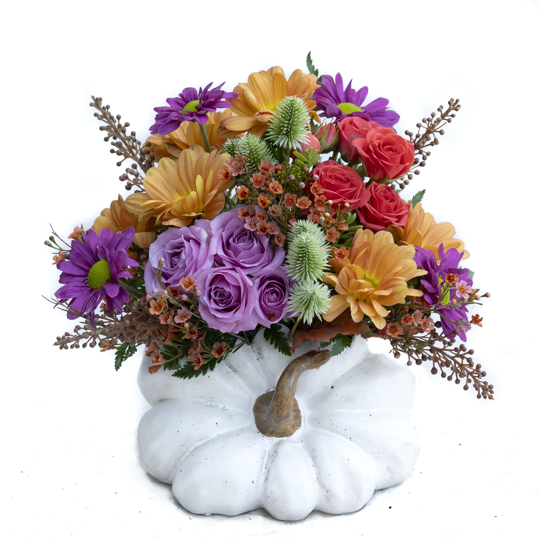 Autumn Harvest Pumpkin Bouquet - Celebrate the season with this vibrant fall arrangement, beautifully displayed in a white ceramic pumpkin container. Featuring lavender spray roses, orange daisies, purple daisies, coral spray roses, and accents of seasonal greenery and textured fillers, this bouquet brings together the rich colors of autumn with a playful touch. Perfect  for fall gatherings, Thanksgiving décor, or as a cheerful seasonal gift.