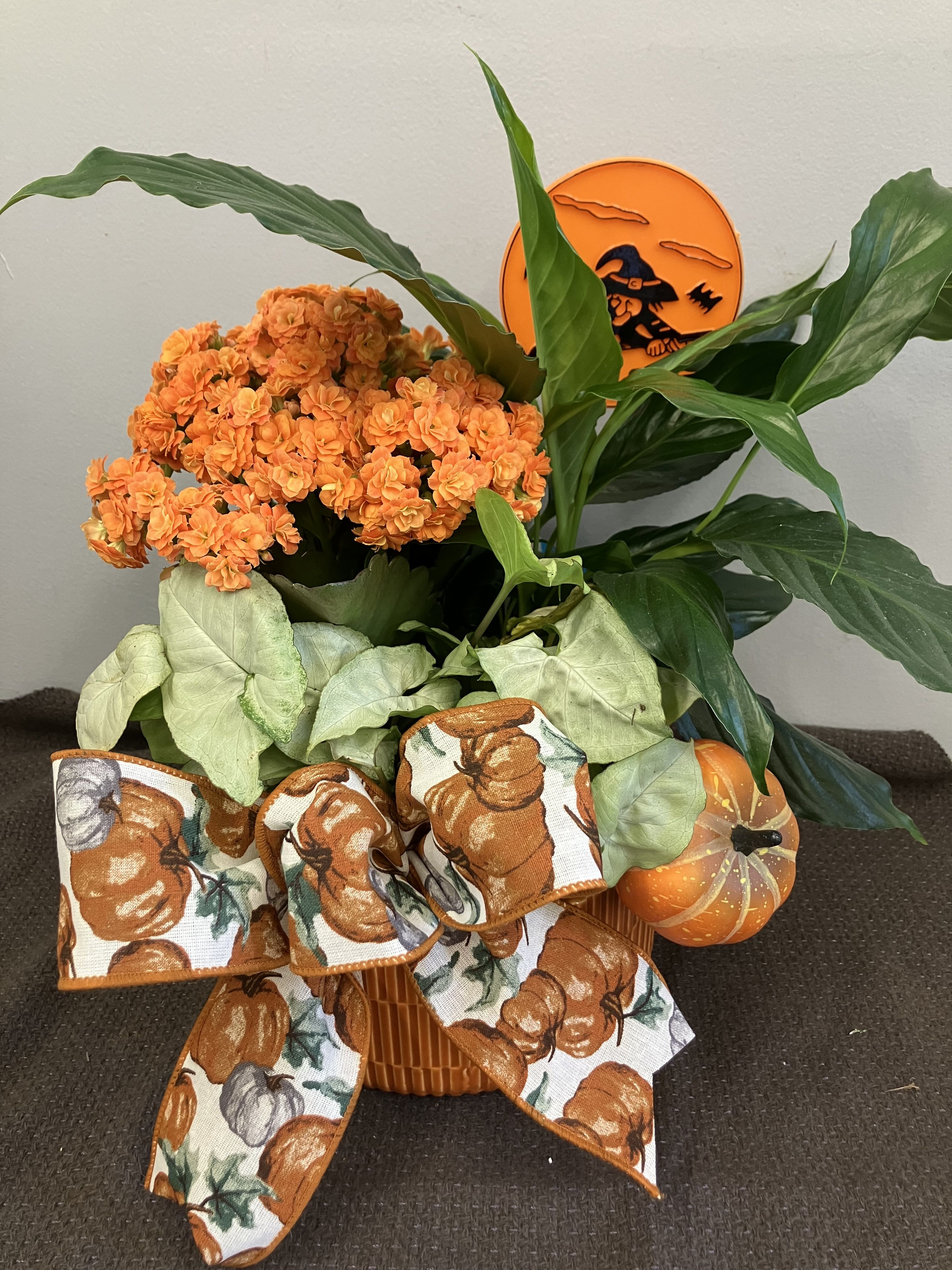 Halloween Planter Halloween Planter - Perfect planter to celebrate the upcoming Halloween holiday! Bright flowering plants in an orange ceramic container.