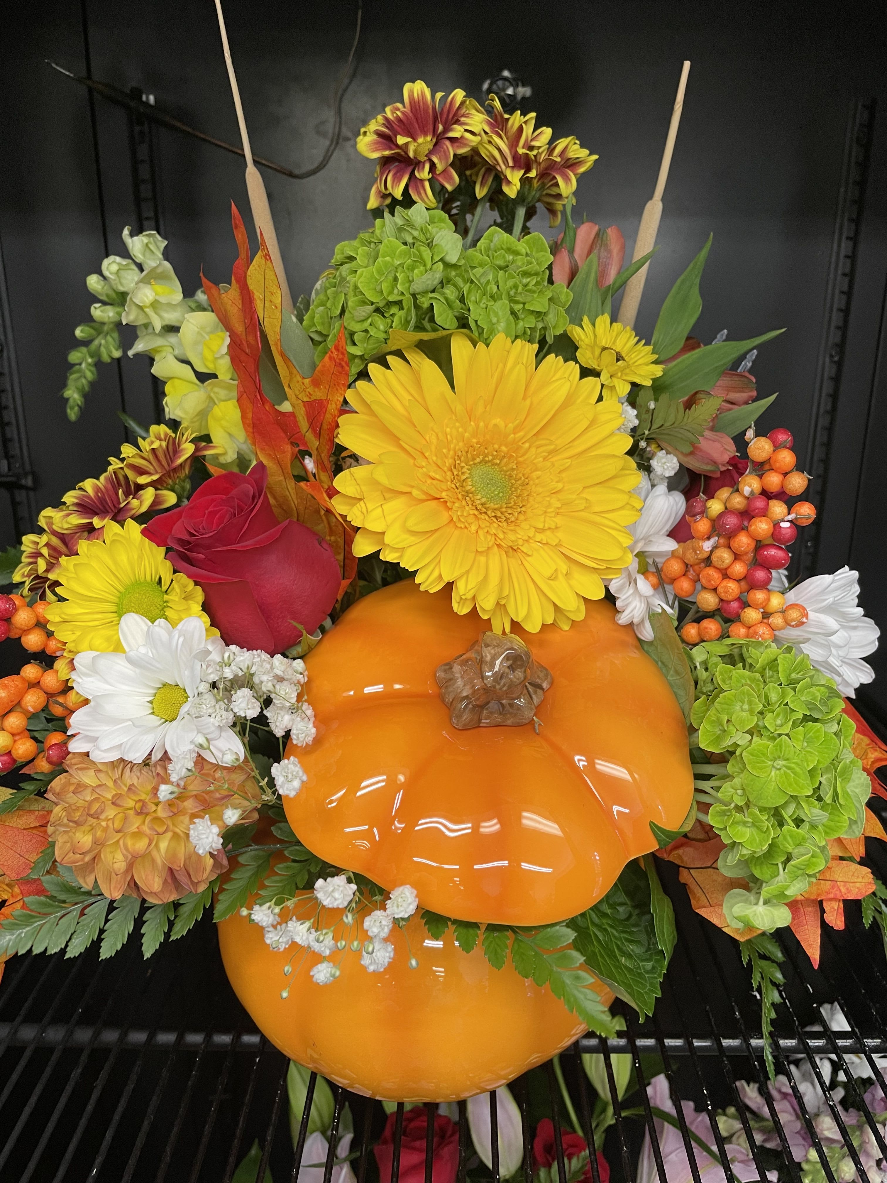 Hello Pumpkin by Lotherington's - Housed in a ceramic pumpkin vase, you will surely “fall” in love with this collection of fall flowers this fall. Choice of orange, sage green or cream colored dish. Available while quantities last