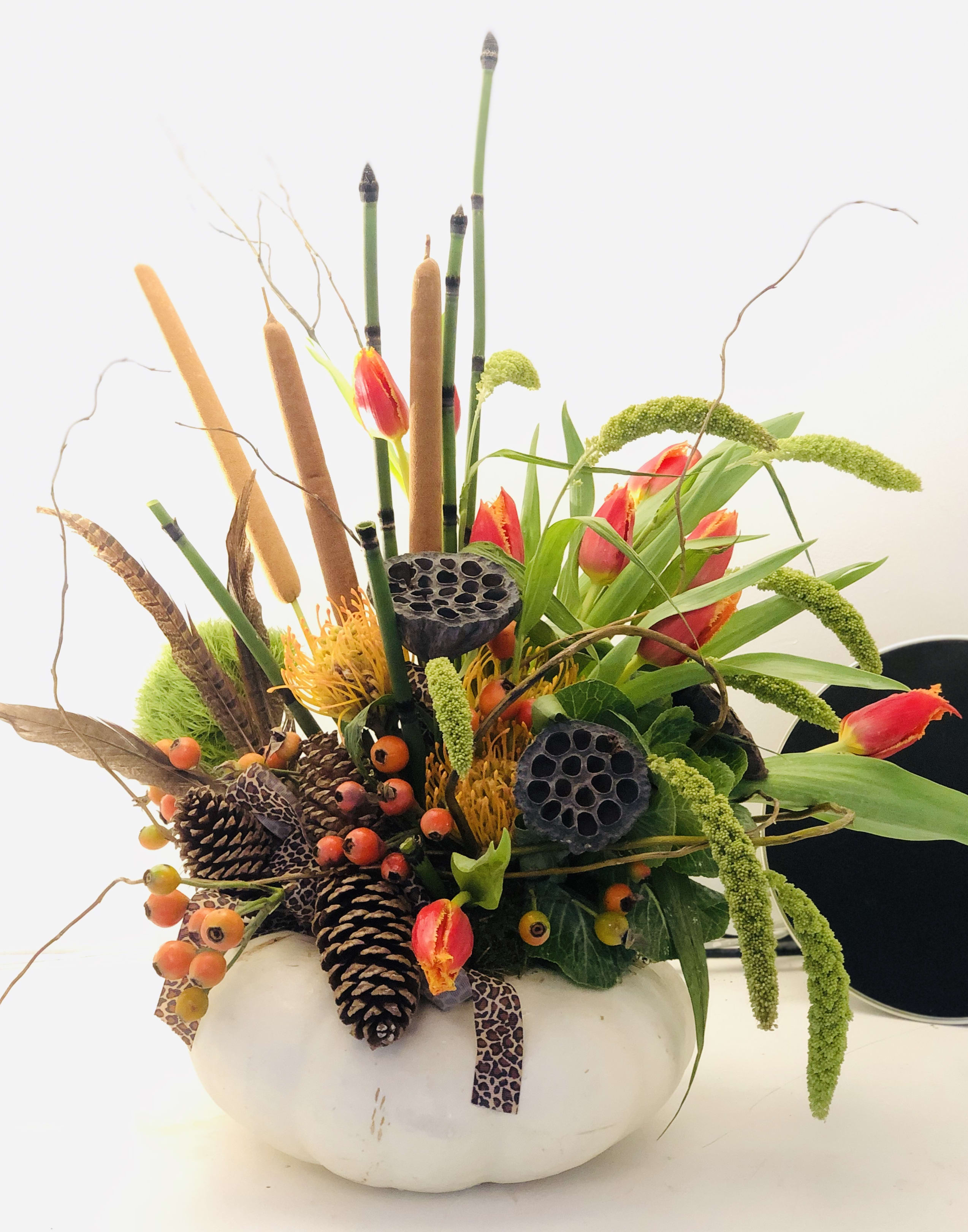 Fantastical Fall Fantastical Fall - LIMITED TIME AVAILABLE *********************SPECIAL ORDERS ONLY SEASONAL ITEM********CALL FOR AVAILABILITY******* This beautiful, Fantastical, Fall design combines Tropical and Traditional creating a unique, and interesting arrangement with all the textures and lines. Designed on a white pumpkin, with Pin Cushion Protea, Tulips, Trick Dianthus, Bamboo, Curly Willow, Cat Tails, Millet, Rose Hips, Dried Pine Cones, Pods, and feathers. Truly a conversation starter. NOTE This gift selection is only available in the fall months when pumpkins are available to us. Our fall flowers,branches and pods should be arriving in Late September, Early October for us to design with, kindly call us directly to place your order for this fantastic fall design.