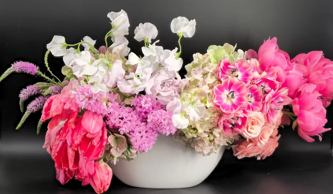 Georgina Georgina - A composition of quiet drama and painterly beauty. This garden-style arrangement gathers a curated mix of delicate and romantic blooms—ruffled parrot tulips, delicate sweet peas, blush roses, heirloom hydrangea, and exquisite peonies—all unfolding in an artful silhouette. A celebration of texture and tone, this piece feels like no other. Effortless and extravagant, Georgina is meant for the rooms where stories are told and memories linger. Floral varieties and shades shift with the season, but the feeling remains: timeless, bold, and unmistakably Laurel Lane.
