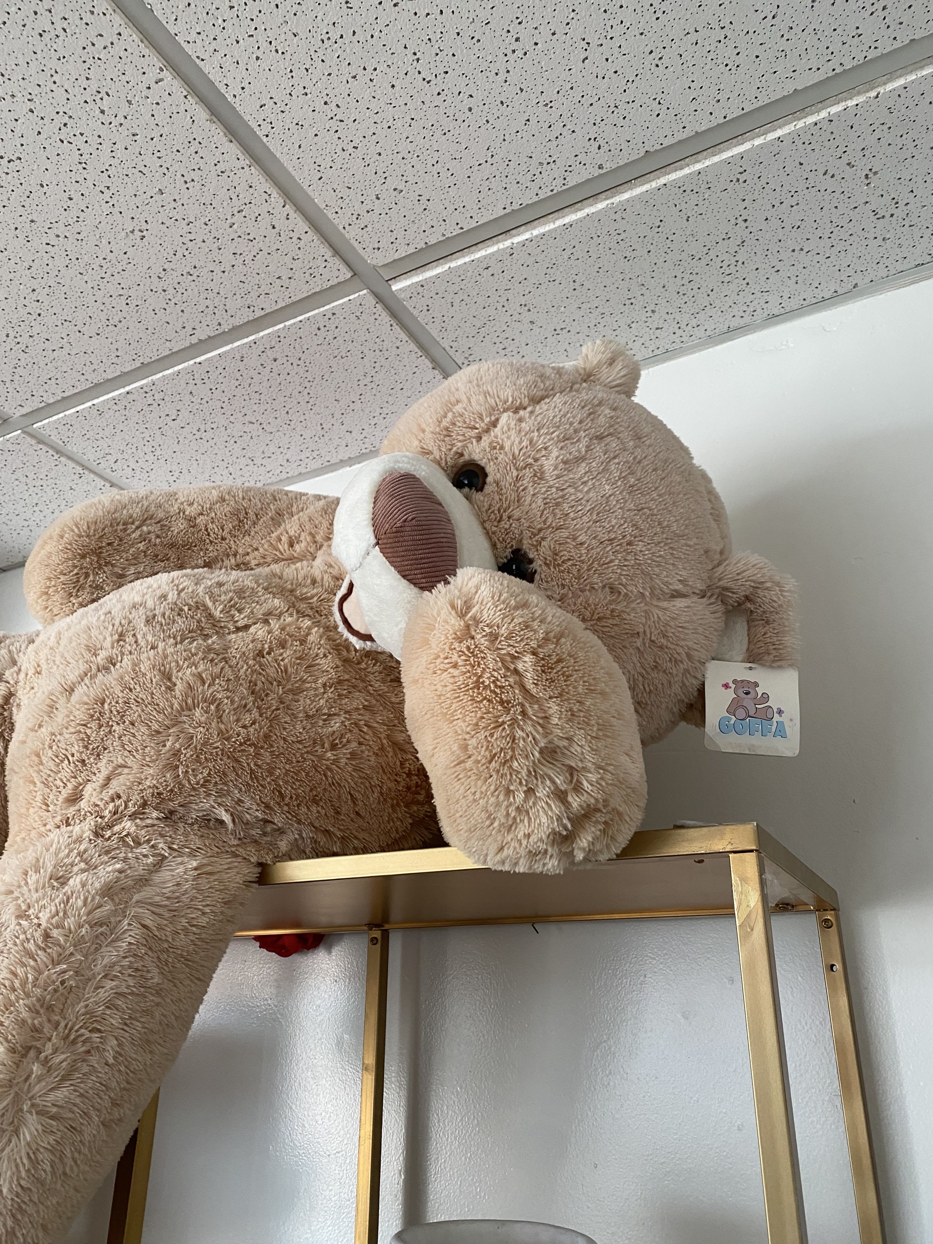 20 Teddy Bears  - 20 Teddy Bears 