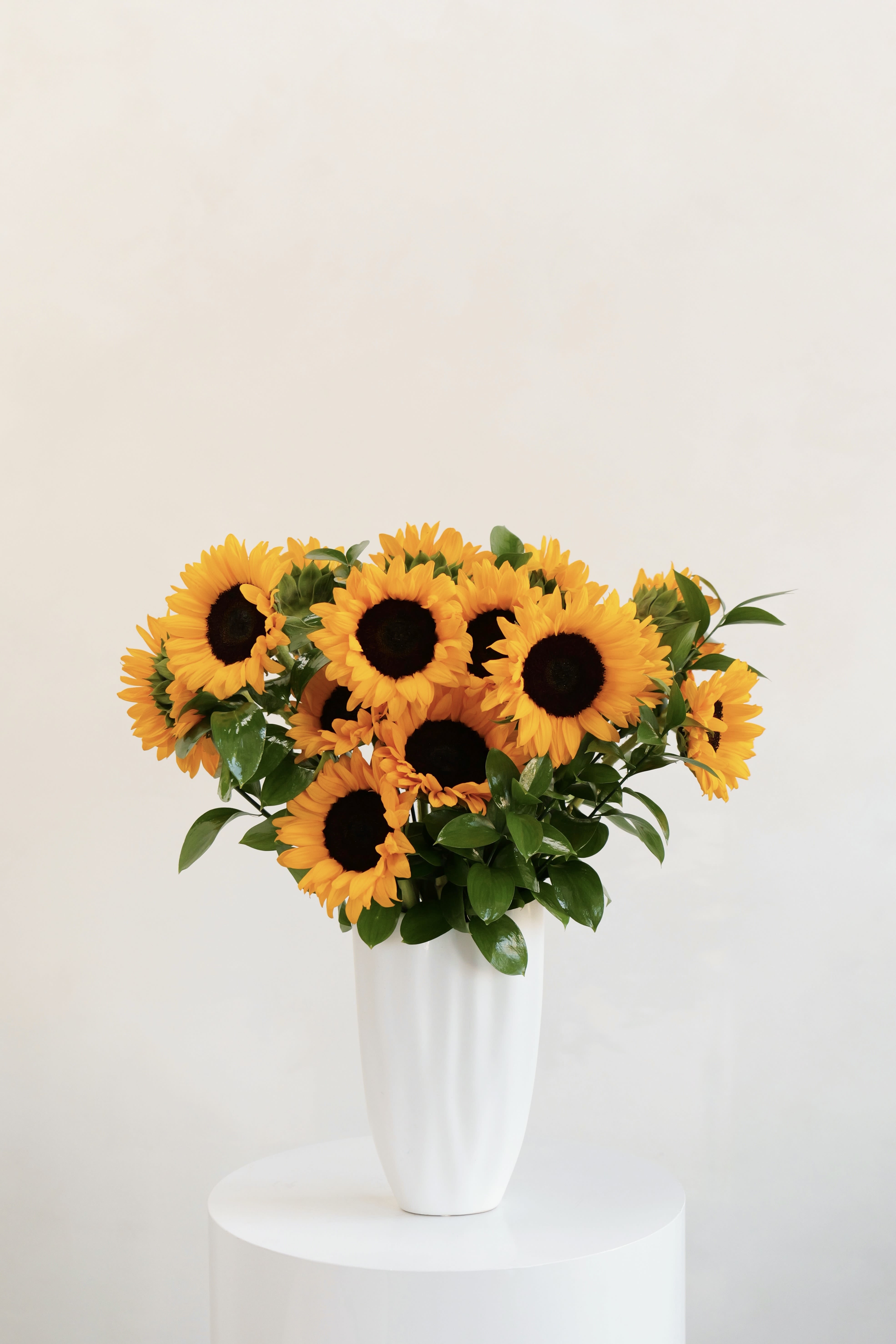Solé Solé - An elegant arrangement of fresh sunflowers designed in a white vase, bringing warmth and joy to any space. Vase style may vary based on availability; color and size will remain consistent.
