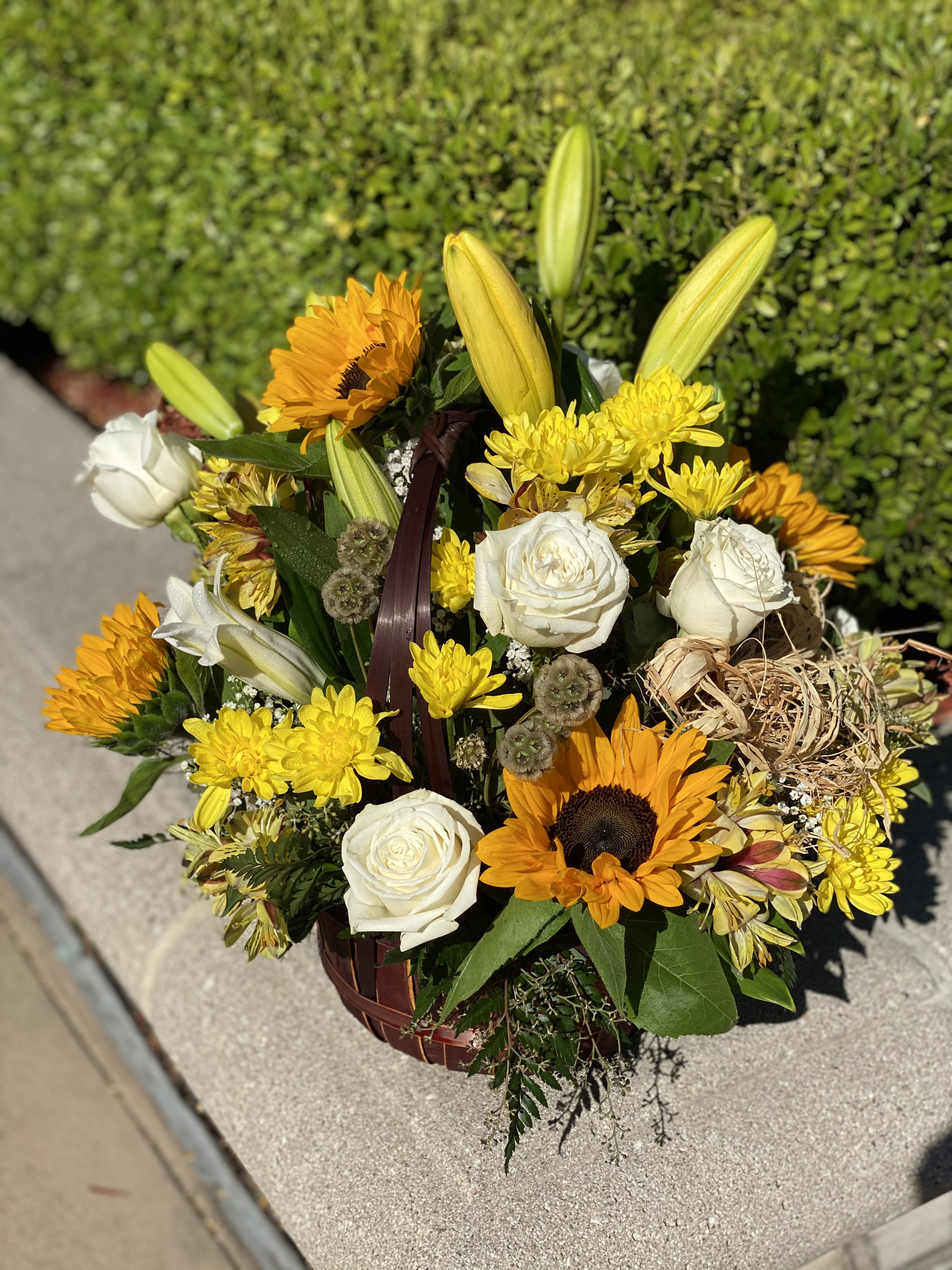 Just a little sunshine Just a little sunshine - This gorgeous basket filled with sunshine includes sunflowers, lilies, roses, alstroemerias, cushion poms, a verity of Foliage foliage Accident with a raffia bow