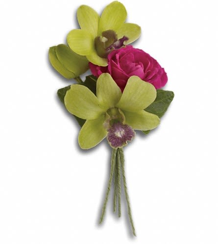 Orchid Celebration Boutonniere Orchid Celebration Boutonniere - Celebrate in style with green dendrobium orchids and hot pink roses. Green dendrobium orchids hot pink roses and green ivy.Approximately 2 1/2" W x 4 1/2" H Orientation: N/A As Shown : T202-1A