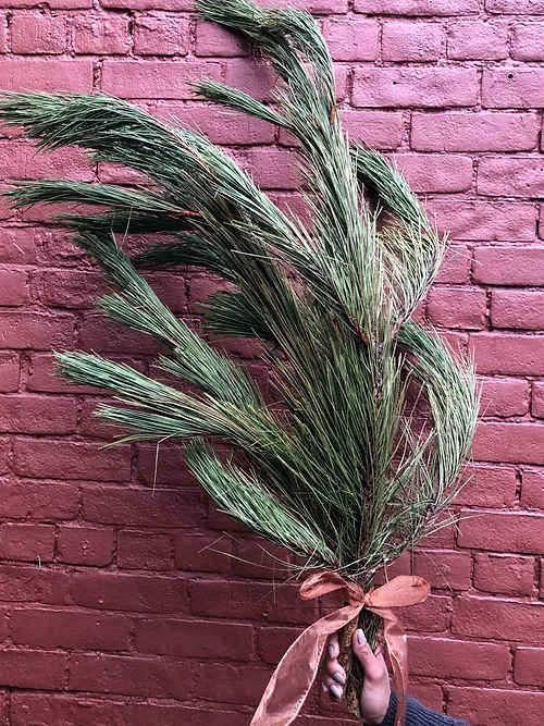 Red Pine Bunch - Don't forget to consider one of our Artisan Cards to add to your order.  Each card is designed by a local artist and is available in these varieties. Store Cards are also available.  All orders are automatically scheduled for next day delivery to arrive between 1:00- 5:30 unless you request otherwise in your notes.  We will always do our best to accommodate special requests, but it is best to call and follow up, particularly for last-minute orders.   Delivery fees are calculated based on postal code.  For more details on rates please view our Shipping page.  ​  Happy Hour delivery applies to our Instagram Special only. All rules around those deliveries are outlined in each HAPPY HOUR post. If a recipient is not home to receive their delivery, and we are unable to contact you, they will be returned for an additional fee. They must then be picked up by the recipient or sent out with our regular next-day delivery for an additional fee.  ​  Happy Hour deliveries are free within Cabbagetown within 1/km walking distance. All other Happy Hour orders are $1/km by increments of $5 per km.  Bouquet will be delivered approximately as pictured.