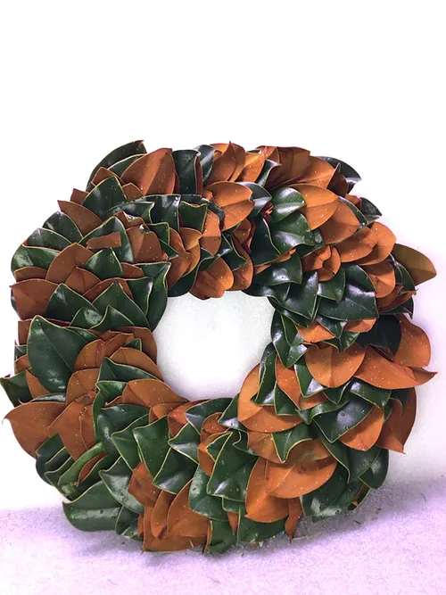 Magnolia Wreath - Luxurious magnolia wreath  18&quot; diameter  Ring 8&quot; wide  Bouquet will be delivered approximately as pictured.