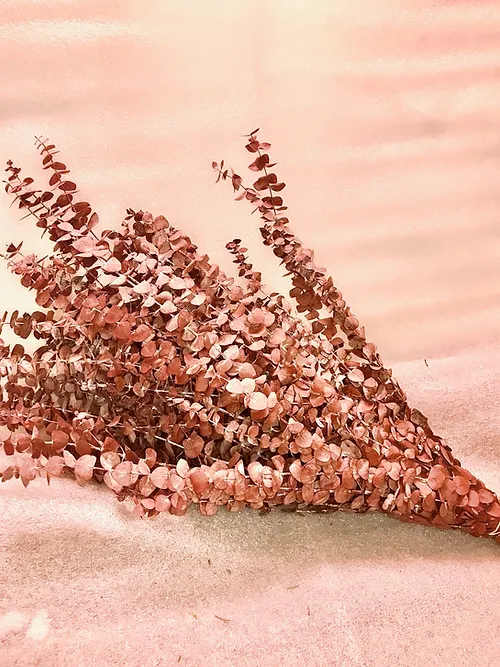 Preserved Eucalyptus - Don't forget to consider one of our Artisan Cards to add to your order.  Each card is designed by a local artist and is available in these varieties. Store Cards are also available.  All orders are automatically scheduled for next day delivery to arrive between 1:00- 5:30 unless you request otherwise in your notes.  We will always do our best to accommodate special requests, but it is best to call and follow up, particularly for last-minute orders.   Delivery fees are calculated based on postal code.  For more details on rates please view our Shipping page.  ​  Happy Hour delivery applies to our Instagram Special only. All rules around those deliveries are outlined in each HAPPY HOUR post. If a recipient is not home to receive their delivery, and we are unable to contact you, they will be returned for an additional fee. They must then be picked up by the recipient or sent out with our regular next-day delivery for an additional fee.  ​  Happy Hour deliveries are free within Cabbagetown within 1/km walking distance. All other Happy Hour orders are $1/km by increments of $5 per km.  Bouquet will be delivered approximately as pictured.