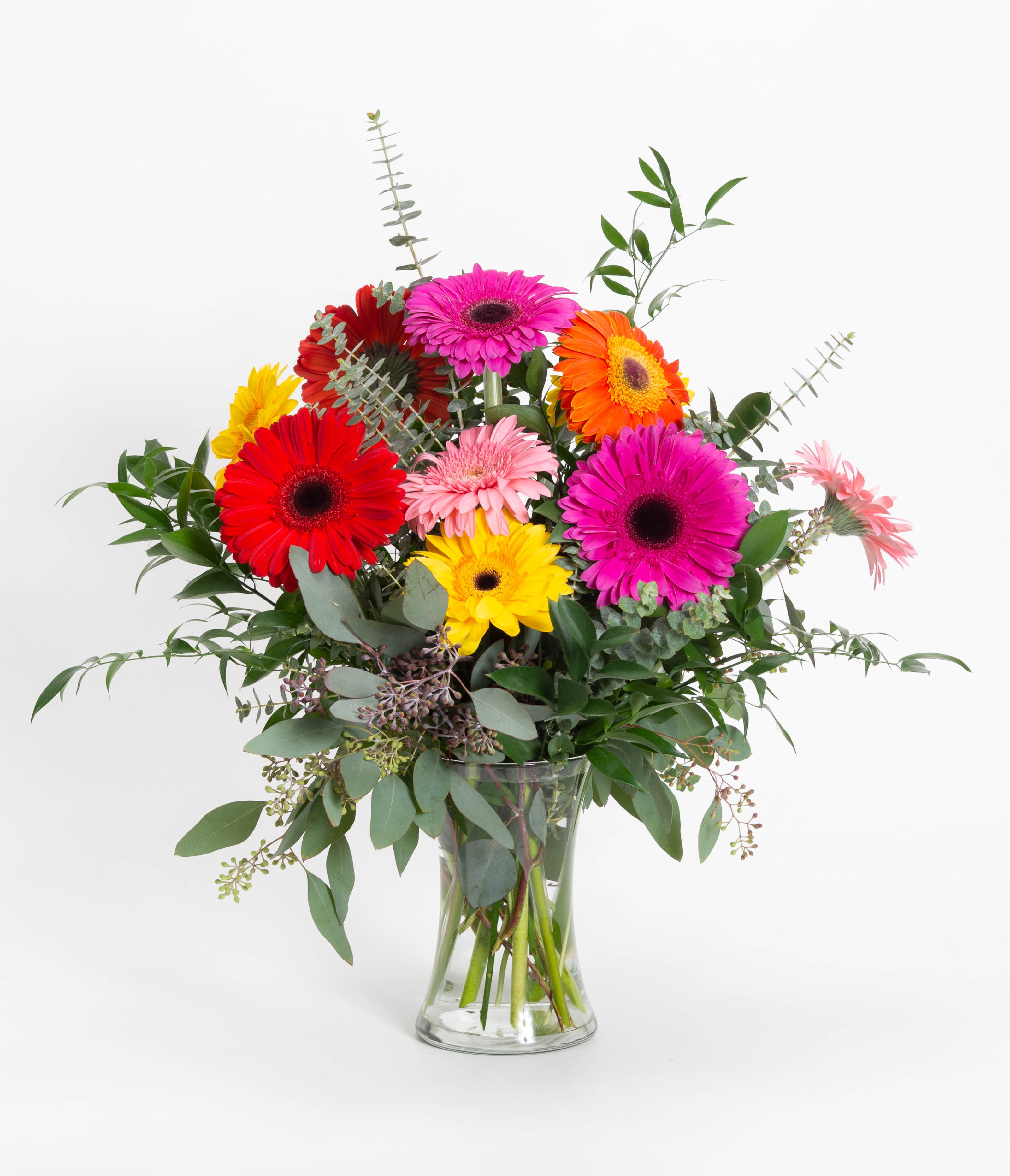 Gerbera Daisy Vase - All gerbera daisys in mixed colors with ruckus and eucalyptus greens in a glass vase.   Special Situations: -Floral selection is based on seasonal availability and could vary slightly from the pictures above. Designs will stay true to the pictured aesthetic. 