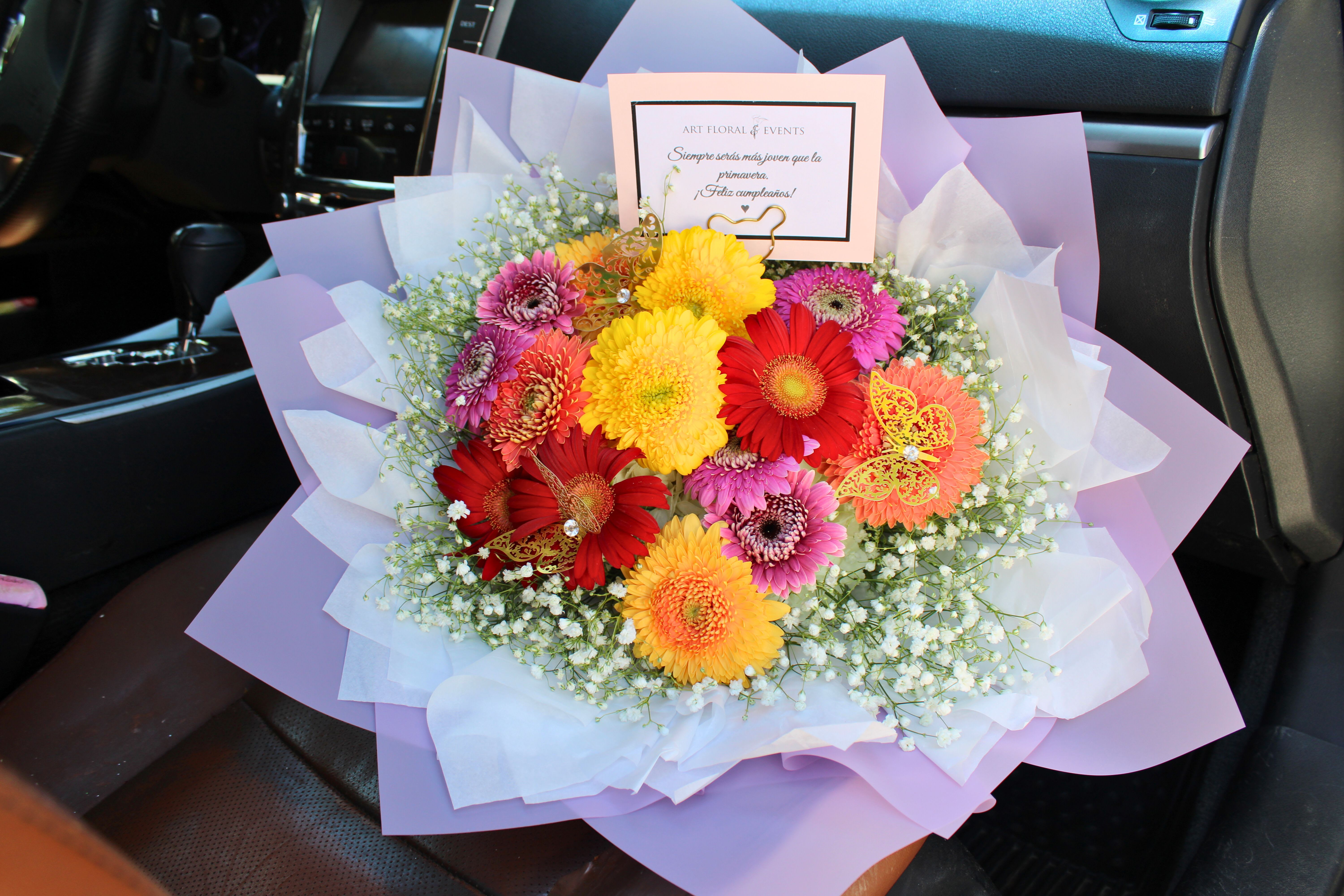 Gerbera Garden - Mixed Gerberas wrapped in a 2 layer bouquet, babies breath. *NO VASE INCLUDED*