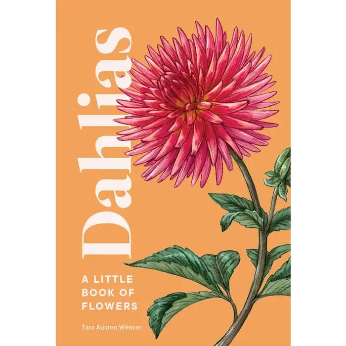 Dahlias (A little book of flowers) Dahlias (A little book of flowers) - Dahlias are the showboats of the flower world—colorful, flamboyant, and spectacular. They're also one of the most satisfying flowers to grow, with a long season, and plentiful blooms, and are adaptable to most climates with proper care. They're very easy to propagate and can be hybridized. There are numerous dahlia flower forms and more than 50,000 recognized cultivars! This charming little hardcover book includes: 60+ full-color botanical illustrations basic botany and history everything you need to know to grow gorgeous blooms in the garden (including dividing tubers to propagate more flowers). tips for creating beautiful arrangements and preserving flowers. quotes, lore, and notable gardens and growers.