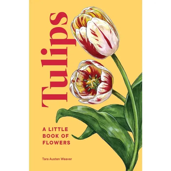Tulips Tulips - After a drab winter, tulips triumphantly emerge from the spring garden, a colorful symbol of rebirth. These humble bulbs have been celebrated, stolen, carried across oceans; at times they have been considered as precious as rubies. Happily for us, these days they are affordable luxuries—and easy to grow as well. This charming little hardcover book includes: 40+ full-color botanical illustrations basic botany and history everything you need to know to grow gorgeous blooms in the garden tips for creating beautiful arrangements quotes, lore, and notable gardens and growers Like a bouquet of tulips, this book is the perfect hostess gift or Mother's Day present for gardeners and flower lovers. It’s part of the collectible mini gift book series Little Book of Natural Wonders. Author - Short: Weaver, Tara Austen Pages (actual): 144 Illustrations (TI Sheet): 40