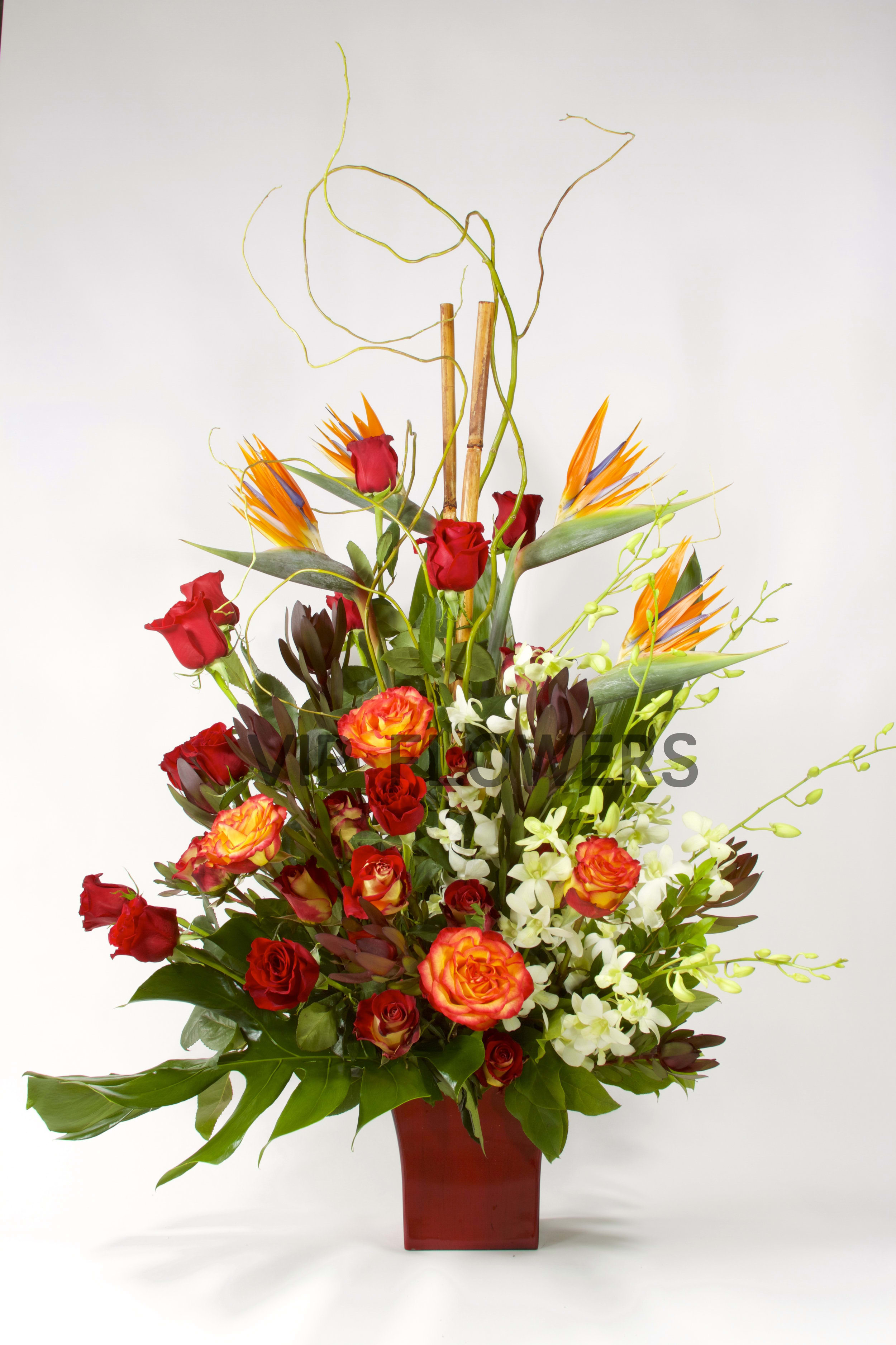 Path to Wonderland - Seen anything so exotic and unreal?! This arrangement embarks on an amazing journey with the mixture of red and orange roses, birds of paradise, orchids, emerald greens and bamboo! Cannot get anymore exotic!      Substitutions may be necessary to ensure your arrangement or specialty gift is delivered in a timely manner. The utmost care and attention is given to your order to ensure that it is as similar as possible to the requested item (Please note that some flowers and colors may vary due to seasonality.)