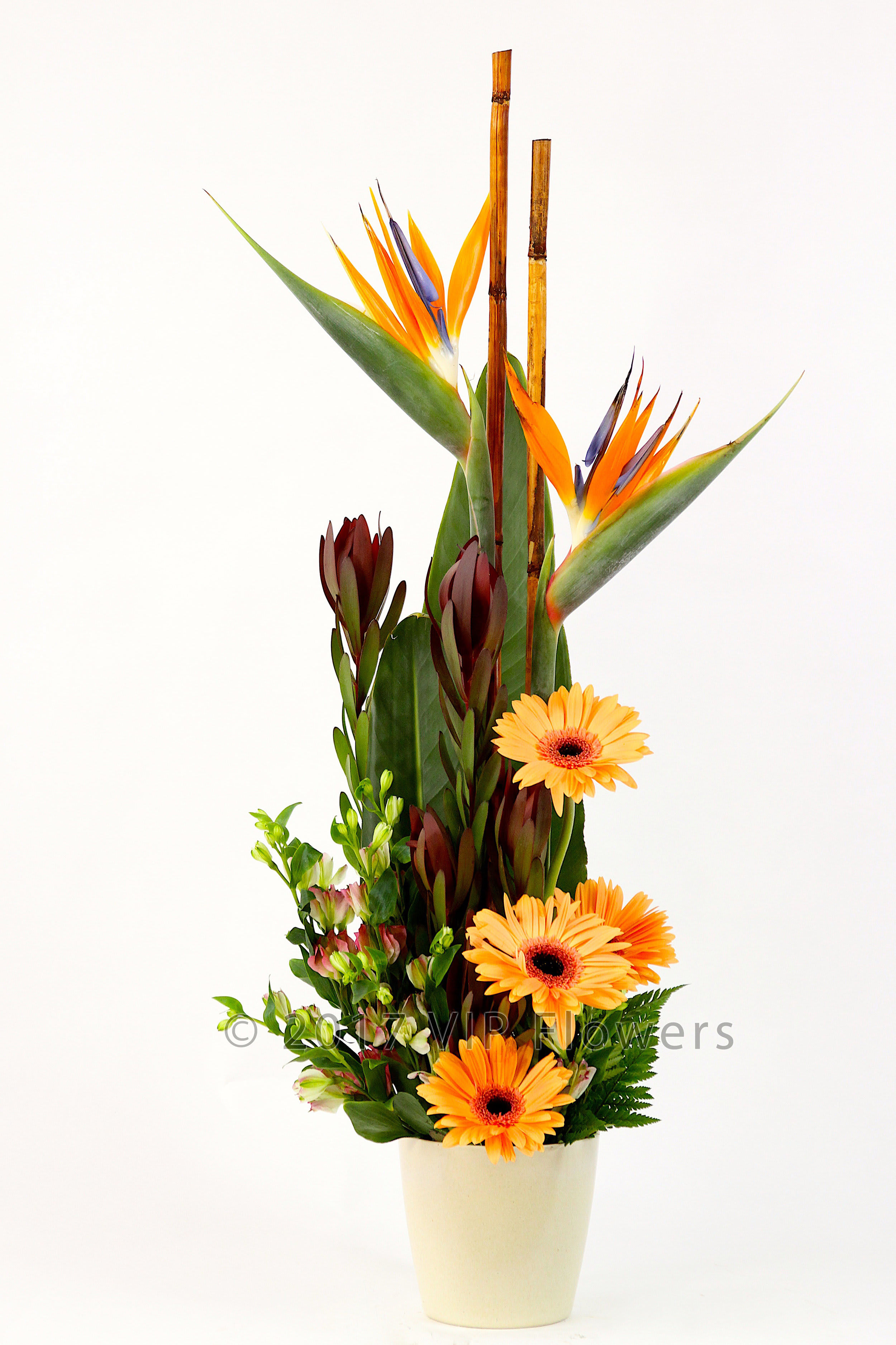 Peachy Tropical - Flowers Included:  Birds of Paradise Peace Gerberas Bamboo Sticks Aspi Leaves Design of flowers       Substitutions may be necessary to ensure your arrangement or specialty gift is delivered in a timely manner. The utmost care and attention is given to your order to ensure that it is as similar as possible to the requested item (Please note that some flowers and colors may vary due to seasonality.)