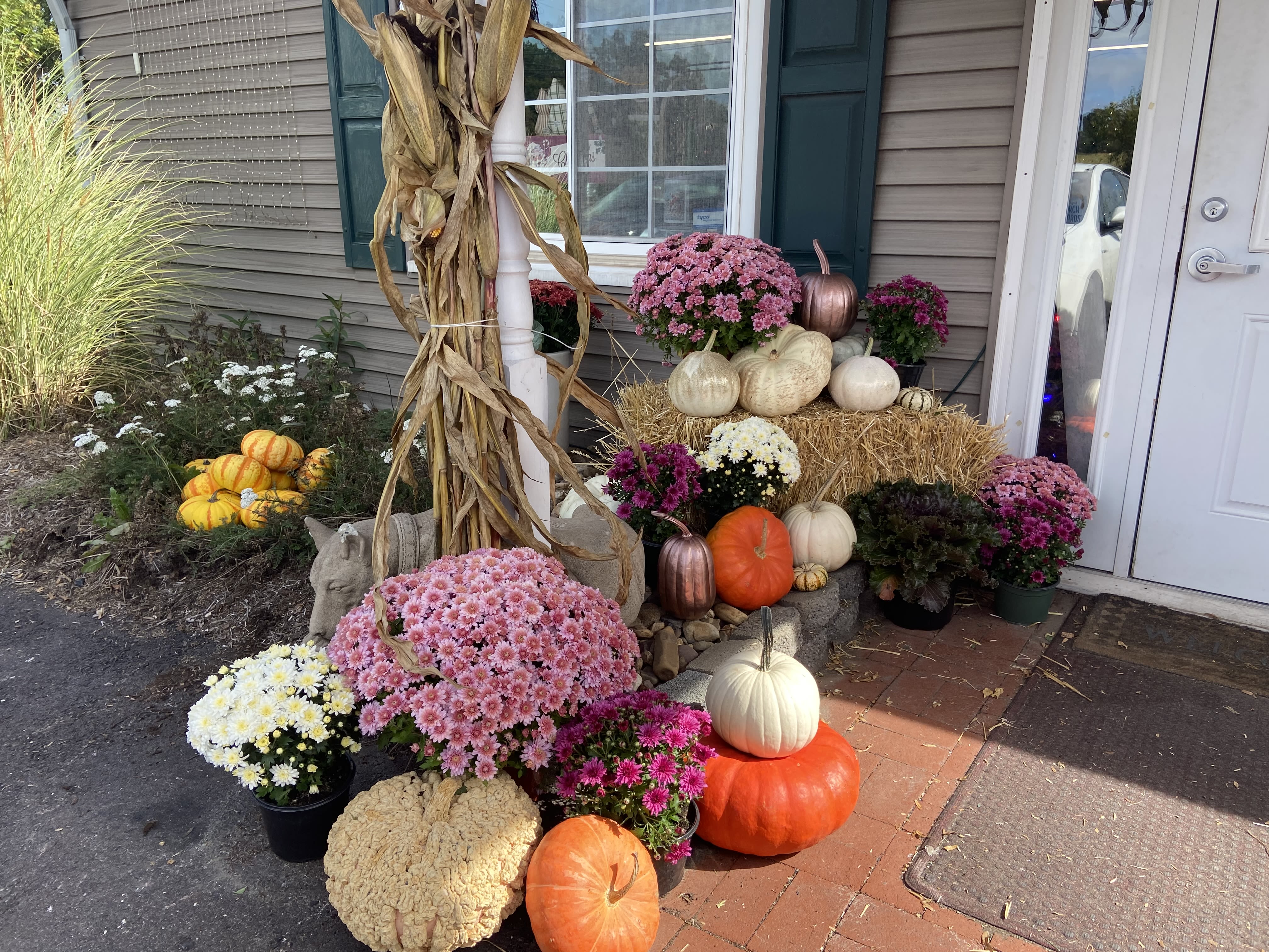 Fairy Tale Porch Decorating Package - Live your own Happily Ever After with our fairy tale porch package. This package leans on pops of pinks and purples from mums, metallic and sparkled pumpkins, and other details that bring the magic. Package includes items, delivery, and set-up.  Please note that the pictures are meant as examples of scale and style. Actually products may vary depending on availability. If you'd like to order something specific, or at a price point not indicated, please give us a call. Order online and we'll reach out to organize a set-up date.  These porch decorations are created with perishable products. We are not responsible for damage caused by time, weather, or animals.