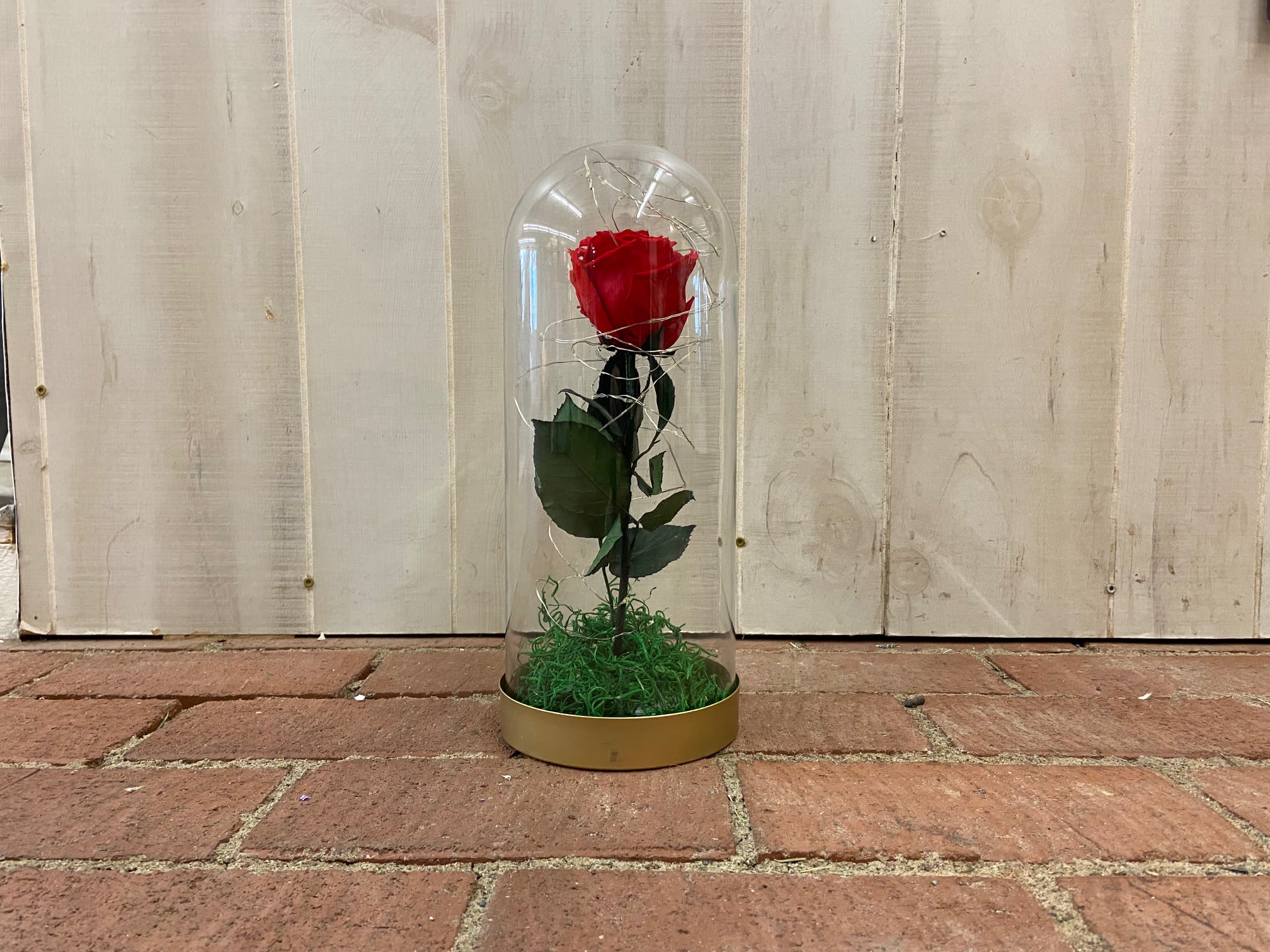 Enchanted Rose Enchanted Rose - Is your love a tale as old as time? Bring your fairy tale to life with a preserved red rose, wrapped in fairy lights over a bed of moss, and enclosed in a cloche.