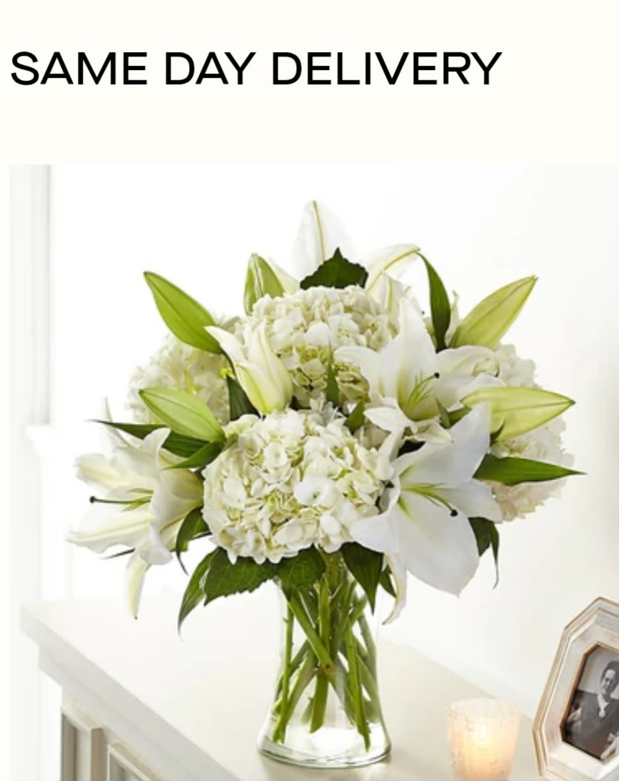 Compassionate Lily Compassionate Lily - All white