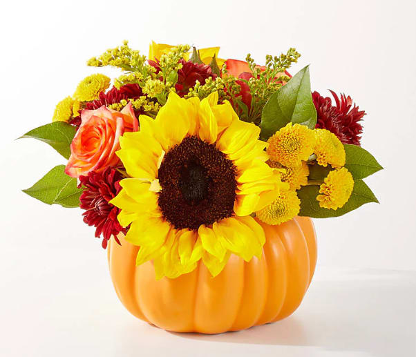 Golden Gourd Pumpkin Bouquet - No need to go to the pumpkin patch this year with this gorgeous arrangement of seasonal stems, artfully arranged in a pumpkin vase to deliver some happiness.
