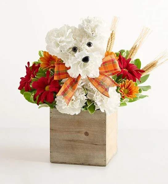 A-DOG-Able - for Fall A-DOG-Able - for Fall - Our whimsical autumn arrangement is doggone adorable! Popping out of a wooden cube, this playful pooch is hand-designed from fresh white carnations, with colorful daisy poms all around. It’s a charming and original gift to share for a season full of celebrations.