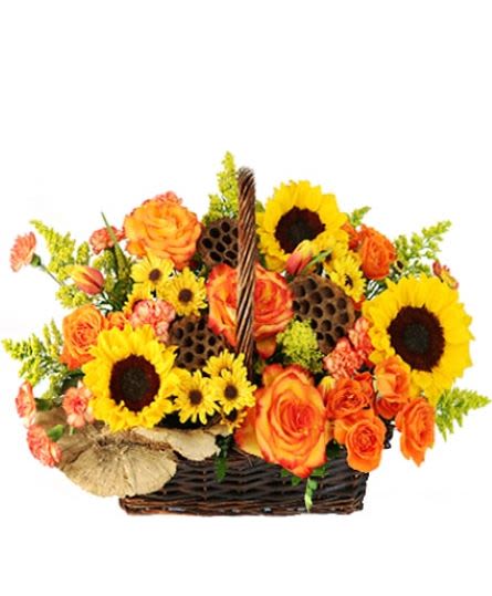 Crisp Autumn Morning Crisp Autumn Morning - This wicker basket is filled with fresh sunflowers, roses, solidago, and accented with fall pods.