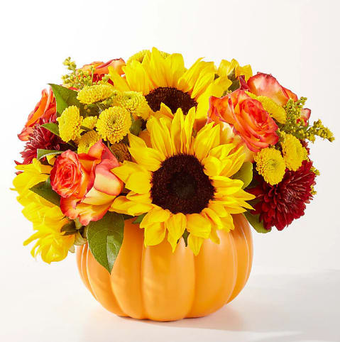 Golden Gourd Pumpkin - No need to go to the pumpkin patch this year with this gorgeous arrangement of seasonal stems, artfully arranged in a pumpkin vase to deliver some happiness.