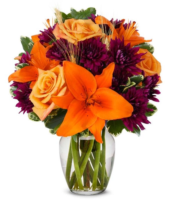Autumn Harvest - One of the best parts of fall is the colors it brings; nature explodes with beautiful reds and bright oranges. Add the perfect touch of fall to your home with our Autumn Harvest Blooms, a bouquet with a wide variety of breathtaking fall tones. Bright orange roses, deep burgundy or purple poms, as well as orange Asiatic lilies are wonderfully displayed in a clear vase
