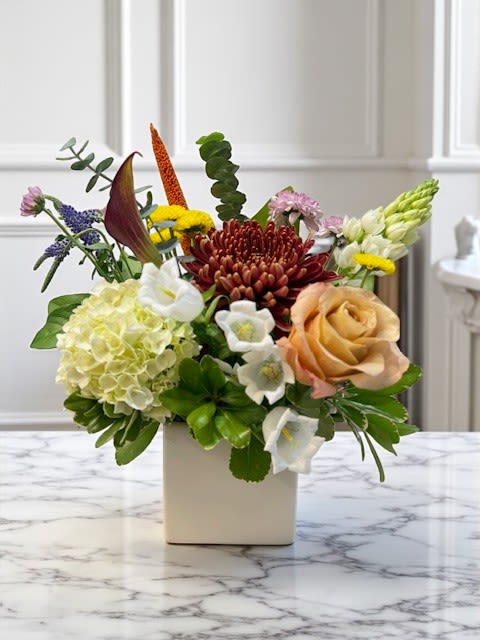 Twilight Clay Twilight Clay - A refined composition that balances warmth and softness with modern elegance. Twilight Clay evokes quiet beauty and timeless sophistication — a grounded yet graceful design perfect for any occasion.