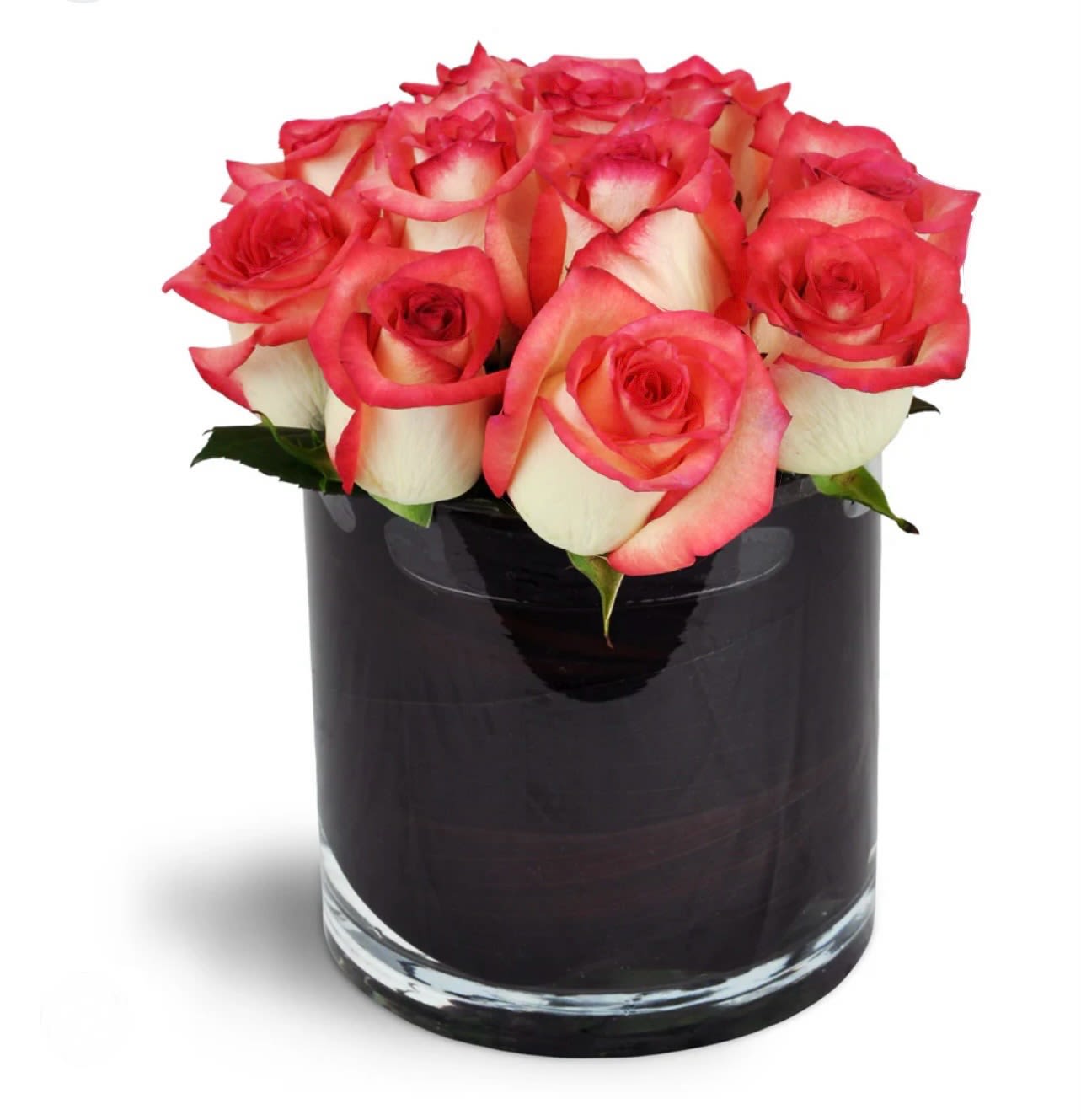 Mini Roses  - Add a touch of sophistication to any occasion with our Elegant Two-Tone Rose Arrangement. Featuring stunning bi-color roses with creamy white petals kissed by vibrant pink edges, this luxurious bouquet is beautifully displayed in a sleek black glass vase. Perfect for anniversaries, romantic gestures, or any moment that deserves a special touch of elegance. Order now to surprise someone with timeless beauty and charm!