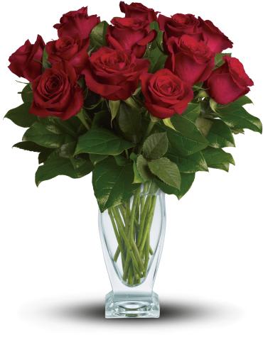 Rose Classique - Dozen Red Roses Rose Classique - Dozen Red Roses - As classic as you can get! One dozen iconic red roses are a traditional and heartfelt way to say "I love you" - on Valentine's Day and all year long. The lush romantic gift is delivered in gorgeous Couture Vase that she'll treasure forever. Twelve lush red roses are contrasted with deep green salal inside a clear glass vase.