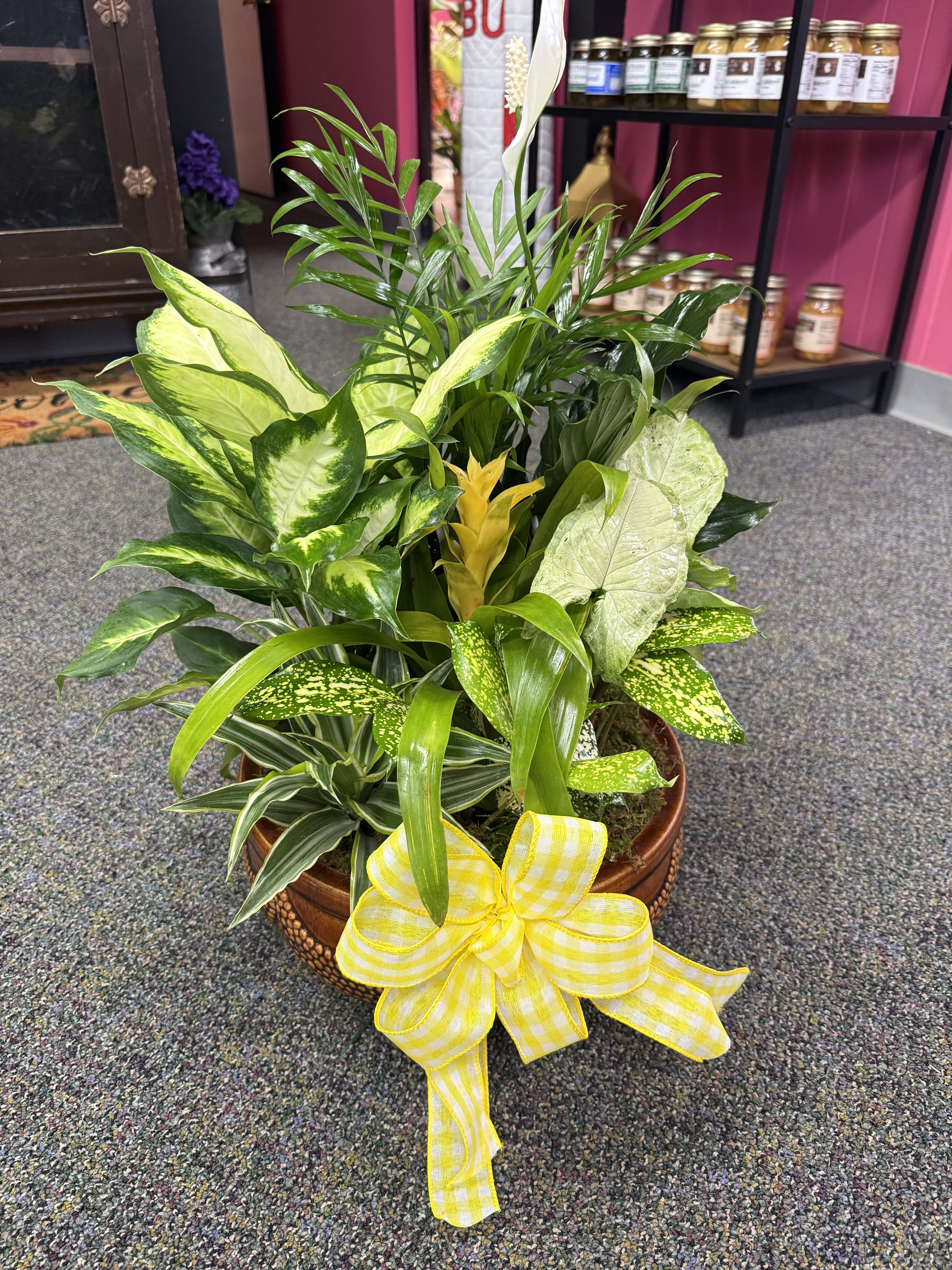 Large Dishgarden - Our Large Dishgarden is a full and lush arrangement of mixed green plants, designed to bring lasting beauty and comfort to any space. Set in a generous container, this dishgarden is perfect for sympathy, office displays, or anyone who loves having a touch of nature indoors.  Each one is hand-designed with a variety of easy-care plants and can be accented with a bow, fresh flowers, or a keepsake item upon request.