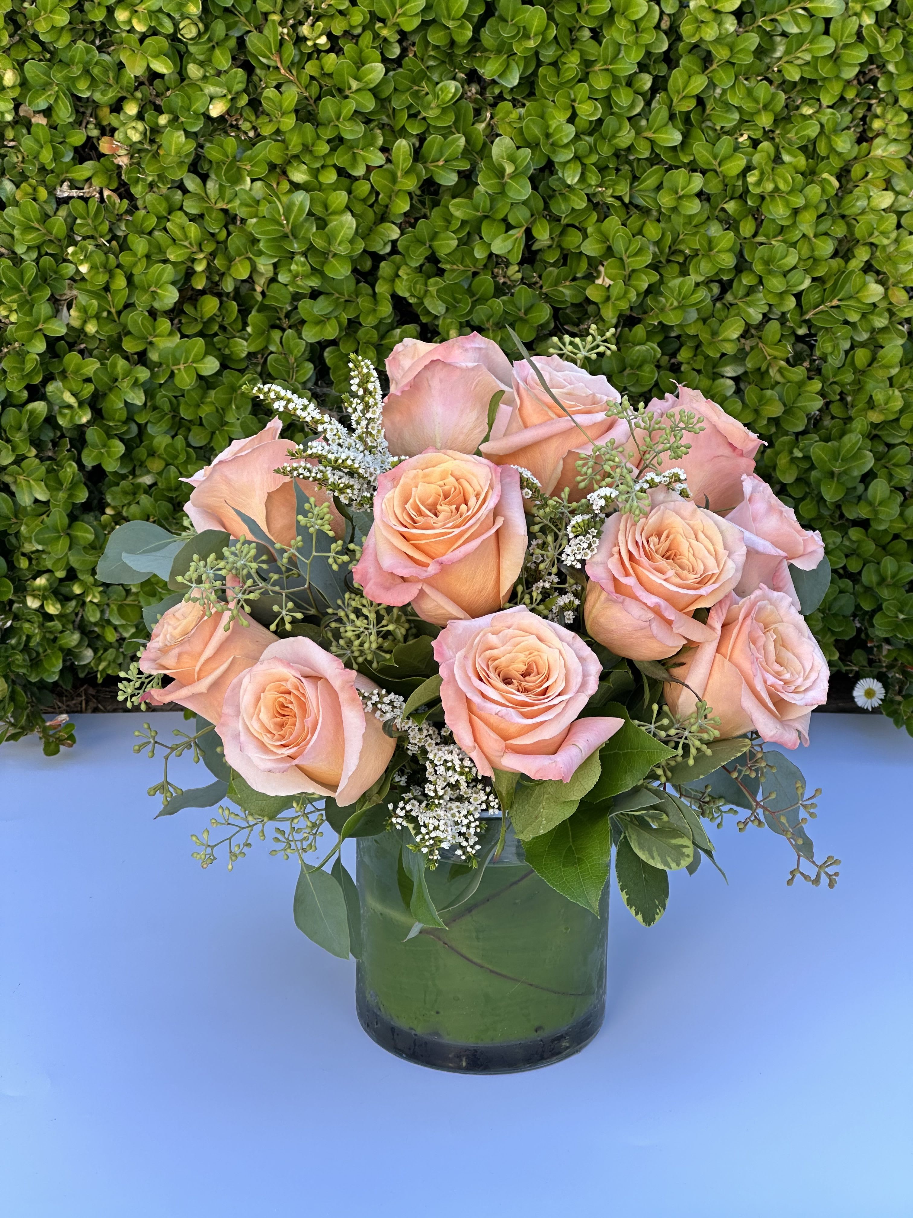 Peach Roses - One dozen peach roses in a low and lush design