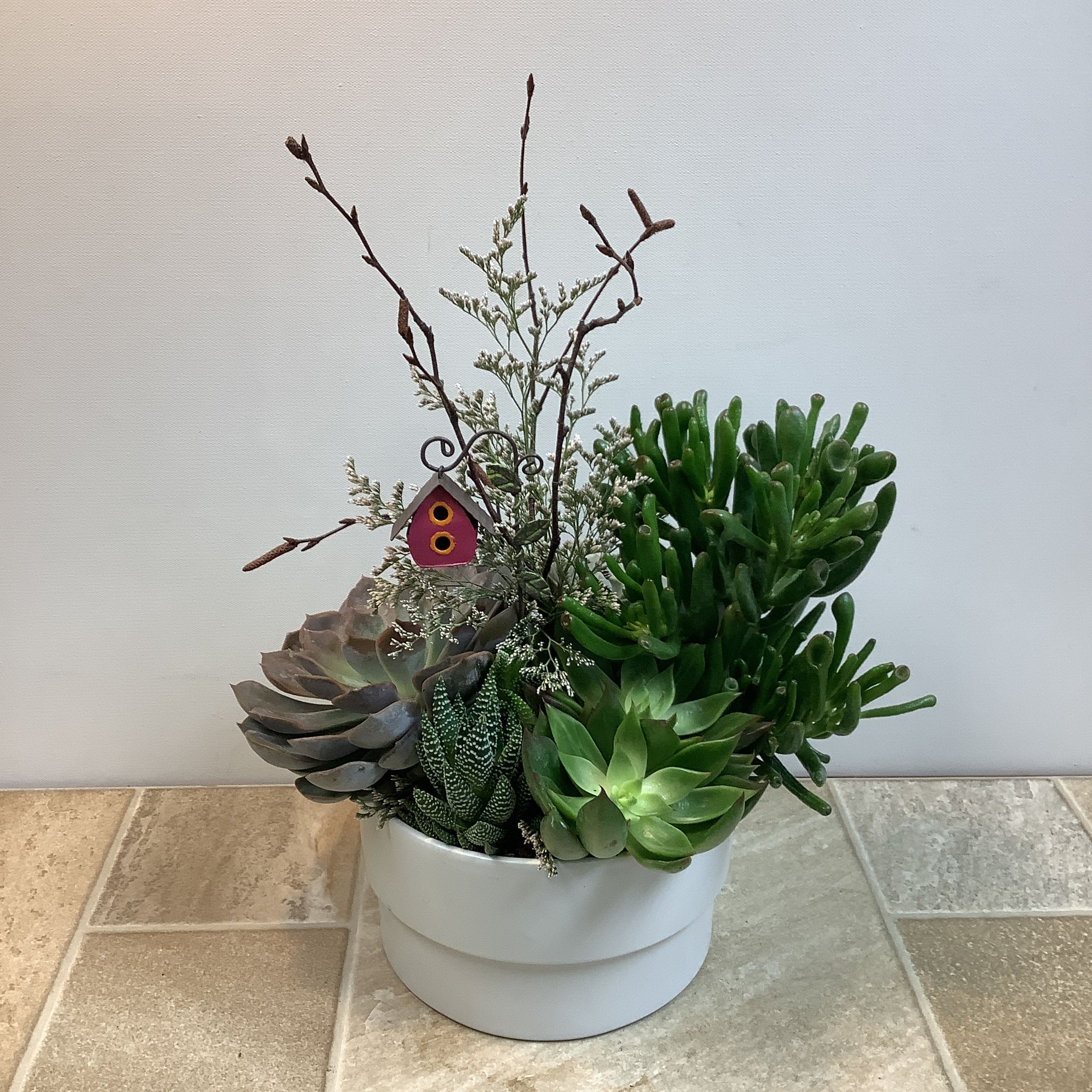 Tiny Birdhouse Succulent Plant Garden Tiny Birdhouse Succulent Plant Garden - This is a charming succulent plant garden arranged in a clean white ceramic pot. The design features a variety of succulents with different shapes, colors, and textures, creating a lush, eye-catching display. * Wispy filler greenery and decorative bare twigs add height and texture, giving the arrangement a natural, garden-like feel. * A tiny red birdhouse ornament hangs from the twigs, adding a whimsical, playful touch. It measures approximately 12” wide x 16” tall.
