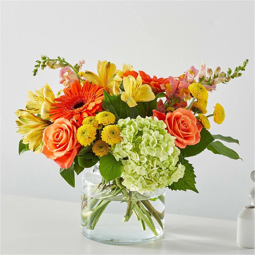 Autumn Sunshine - Bask in the golden glow of fall with our Autumn Sunshine arrangement, a vibrant tribute to the season's fleeting warmth. At its heart, cascading bursts of sunny orange daisies stand tall like beacons of light, their broad petals unfurling to capture the essence of a crisp October afternoon. Interwoven among them are the rich hues of yellow alstroemeria, snapdragons, and hydrangea, evoking the crackle of bonfires and the rustle of wind-swept orchards.  Perfect for harvest gatherings, Thanksgiving tables, or simply brightening a dreary day, Autumn Sunshine is handcrafted in a clear glass vase for effortless display. Let this arrangement infuse your space with the joyful spirit of autumn's radiant farewell—where every bloom whispers promises of renewal amid the golden fade.