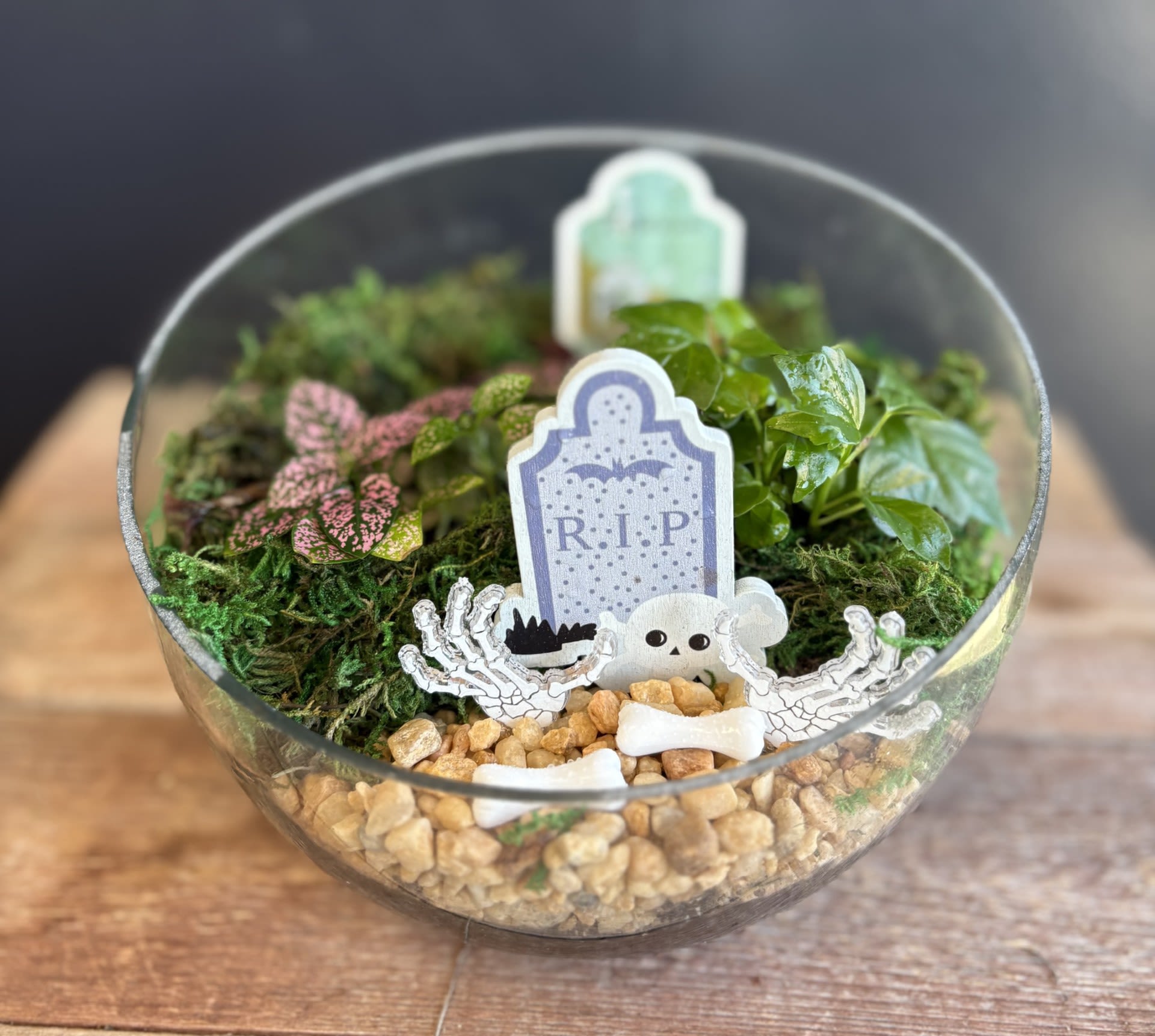 Ghoul Garden  - Give someone a ghoul's garden for the spooky season, terrarium plant garden with a surprise guest!  