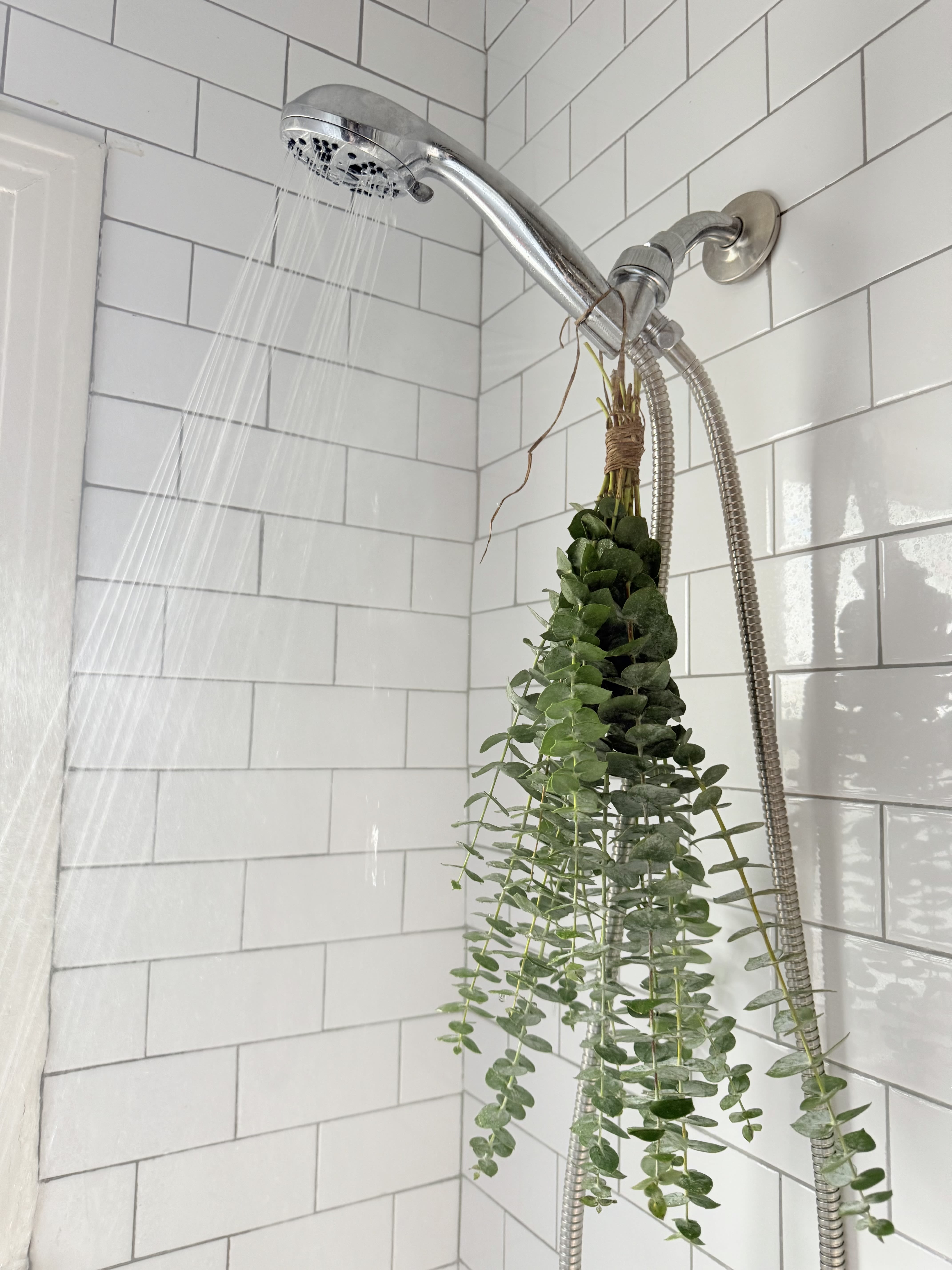 BreatheWell Bundle BreatheWell Bundle - Tied to your shower head, this eucalyptus bundle improves respiratory health (especially during allergy season), reduces stress with therapeutic aromas, and turns your shower into a wellness ritual. To attach- tie to your shower head.