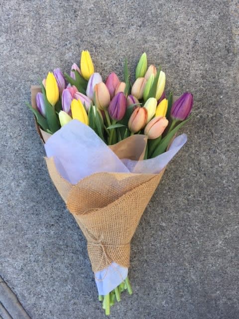 Tulip Hand-tied Tulip Hand-tied - 30 mixed tulips create this simple lovely bunch (pictured). All cleaned, wrapped with burlap, ready to drop in a modern vase and enjoy it's simple beauty. You can even wrap the burlap around your vase! Deluxe = 40 stems; Premium = 50 stems.