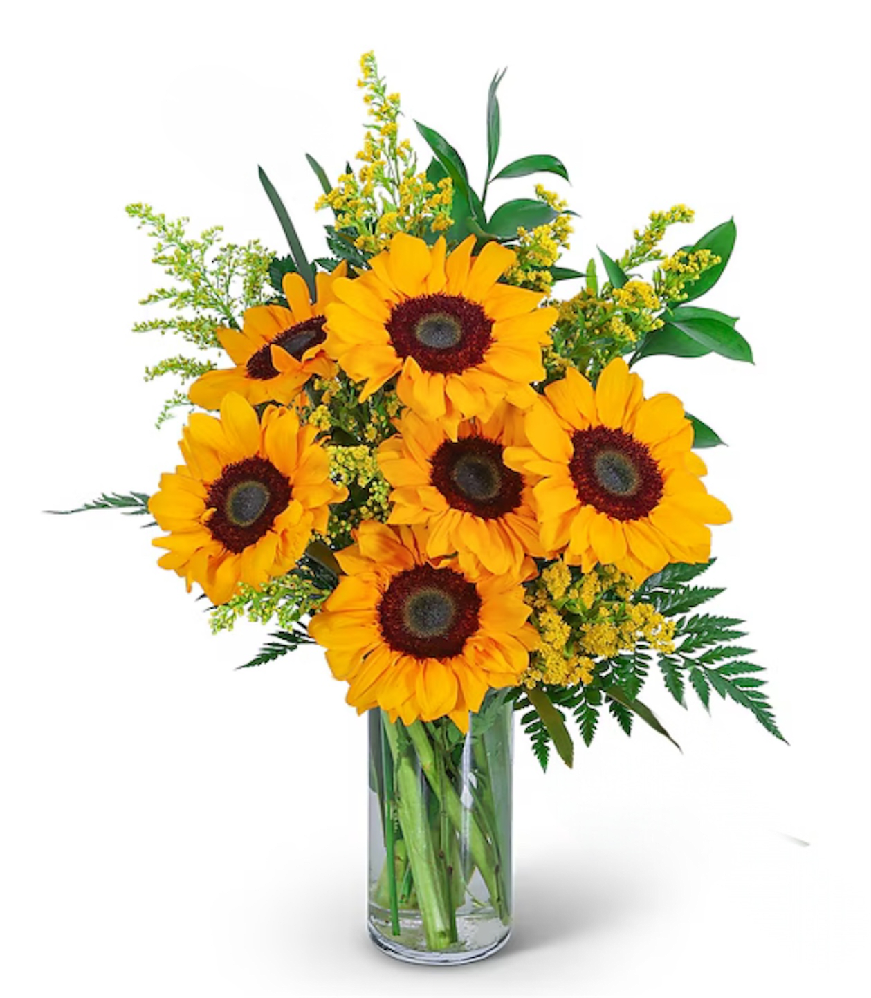 Sunflower and Love Knots Sunflower and Love Knots - Sunflowers and Love Knots is a captivating flower design that exudes warmth, joy, and a touch of romance. This sunny design showcases the radiant beauty of sunflowers, accentuated with delicate accents of solidago and premium foliage.