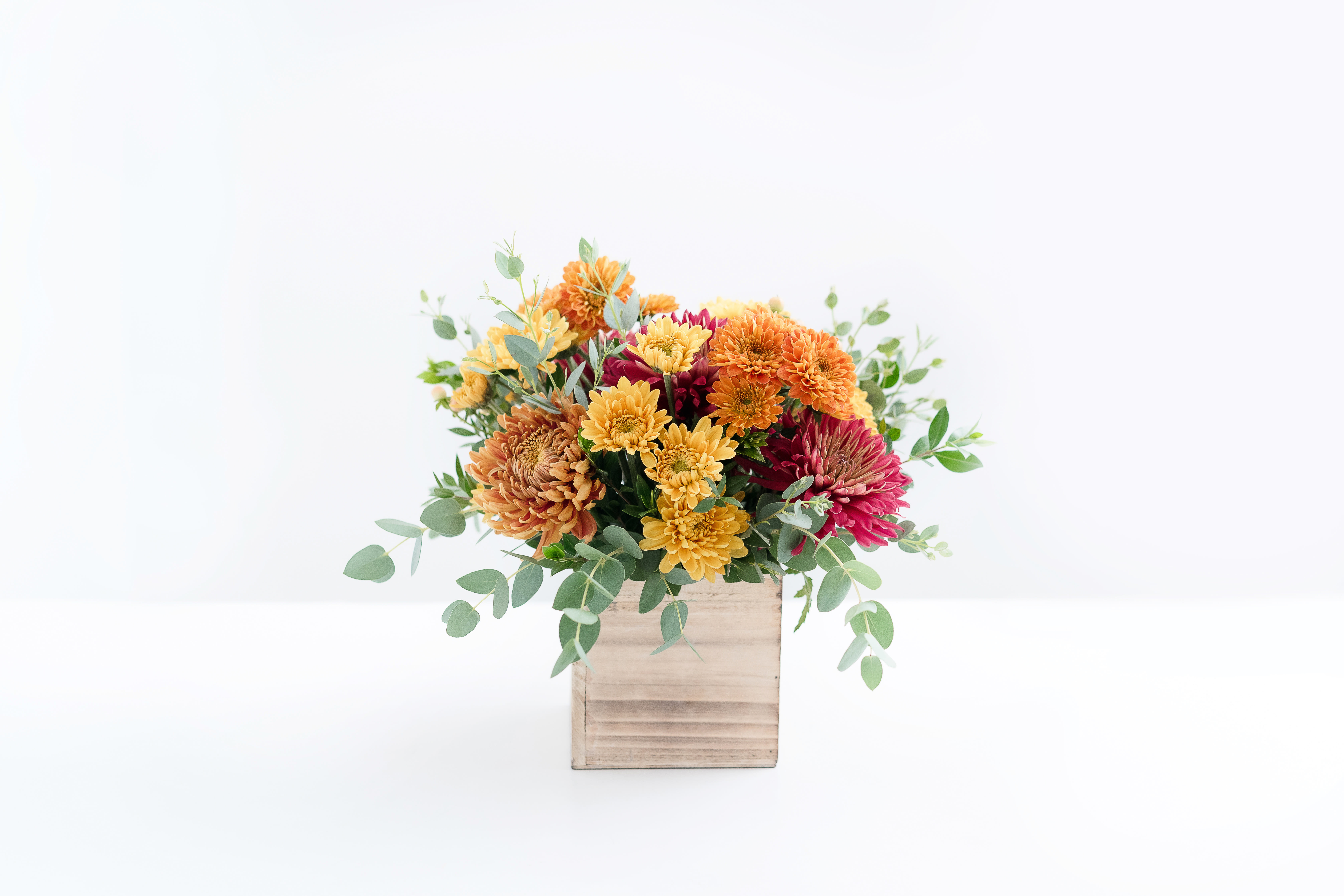 Autumn Cottage - Small Wood Box - Gorgeous collection of mums ready for a holiday table - with accents of berries, Eucalyptus and red Italian Ruscus in a light-washed wooden box vase. Mums for your MUM! Or, for that someone special. Arrangements is 9&quot; tall and 7&quot; wide. 