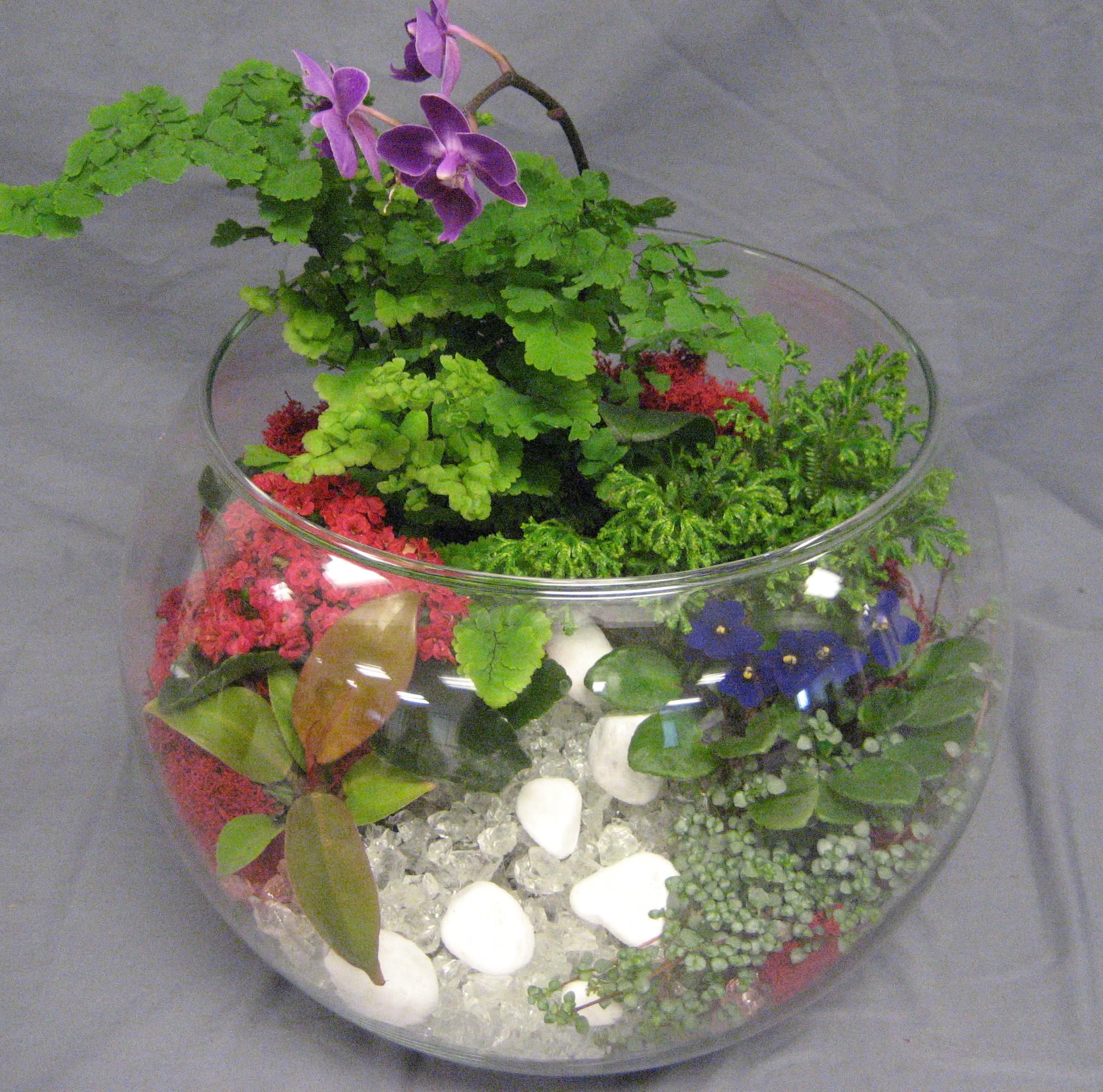 Garden Walk IG-005 Garden Walk IG-005 - Take a walk through a "Rhoads Garden". In one of our signature terrariums you will find miniature plants, stones, gems and other miniature garden accents. And given the right care, these plants will live on as long as your love.