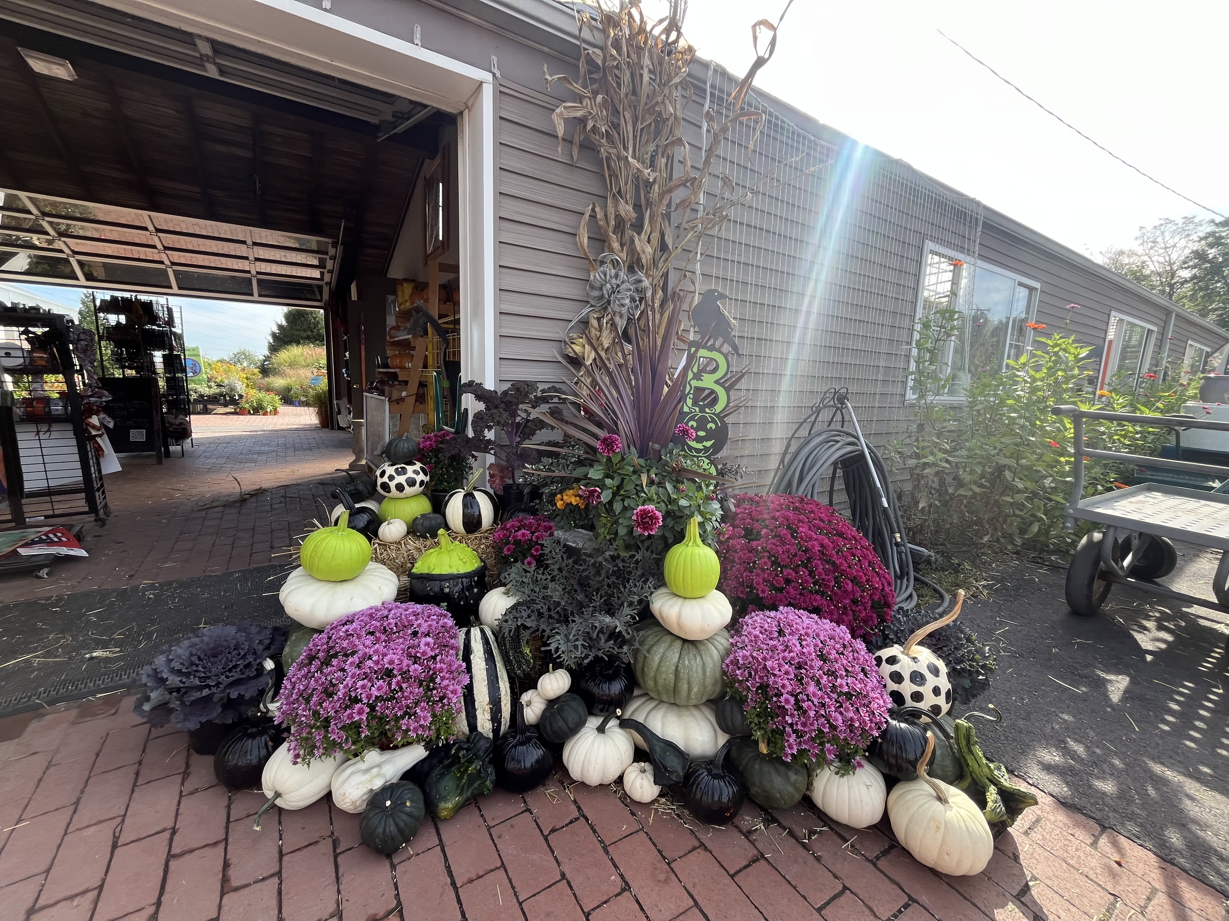 Porch for the Recently Dead Porch for the Recently Dead - Don't say his name 3 times! This Burton-inspired porch decor is leans into the spookier vibes with striped elements, blacks, whites, greens, and purples. It includes a mixture of pumpkins, gourds, mums, straw bale, cornstalks, and customized details. Please note that the pictures are meant as examples of scale and style. Actually products may vary depending on availability. If you'd like to order something specific, or at a price point not indicated, please give us a call. Order online and we'll give you a call to determine a set up date for you! These porch decorations are created with perishable products. We are not responsible for damage caused by time, weather, or animals. ***pictured is premium***