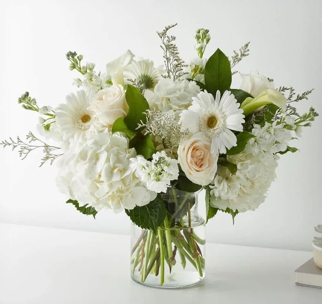 Vanilla Blossom (DL) - Indulge in the delicate beauty of the &quot;Vanilla Blossom&quot; arrangement, a luxurious combination of white hydrangeas, white roses, white gerbera daisies, and white mini calla lilies. This stunning bouquet is expertly crafted to evoke a sense of elegance, purity, and tranquility.