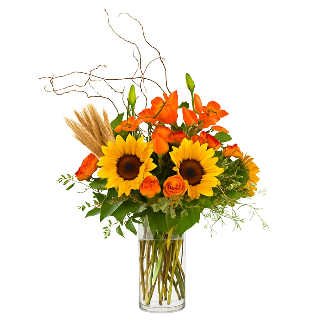Autumn Harvest Autumn Harvest - Autumn Harvest – Seasonal Flower Delivery in San Diego Bring the warmth of fall indoors with Autumn Harvest, a rich, hand-crafted bouquet bursting with golden sunflowers, glowing orange roses, vibrant Asiatic lilies, and cheerful spray roses. Accented with fresh eucalyptus, and curly willow, this arrangement captures the crisp beauty of autumn days and cozy holiday gatherings. Expertly designed in a clear glass vase by San Diego’s finest florists, Autumn Harvest makes the perfect gift for Halloween, Thanksgiving, or simply to celebrate the season with color and charm. Available Sizes: • Standard – A stunning mix of 3 Roses, 3 Sunflowers, 3 Spray Roses, 2 Asiatic Lilies, with greens and accents (Approx. 16" W x 26" H). • Deluxe – Fuller, more luxurious mix of 5 Roses, 4 Sunflowers, 4 Spray Roses, 3 Asiatic Lilies, with fresh garden greens in upgraded vase. • Premium – An abundant, showstopping display of 7 Roses, 5 Sunflowers, 5 Spray Roses, 4 Asiatic Lilies, with greens and seasonal accents. Care: Keep in a cool location, away from direct sunlight and heat sources. Refresh water daily and trim stems every 2–3 days to enjoy peak beauty all week long. Available for same-day flower delivery in San Diego — a gorgeous way to share the golden glow of autumn.
