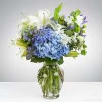 Ocean Breeze Ocean Breeze - This vibrant floral arrangement is a captivating blend of various blooms designed to bring joy and beauty to any occasion. With its harmonious mix of colors and textures, it is perfect for celebrating a birthday, sending get-well wishes, or conveying the sentiment of a fresh start. Key Features Floral Components Delphinium: Known for their tall spikes and rich blue hues, delphiniums add a touch of elegance and height to the arrangement. Bells of Ireland: These unique green blooms provide a whimsical and fresh appearance, symbolizing luck and good fortune. Asiatic Lilies: With their striking and vivid colors, Asiatic lilies bring a sense of warmth and exotic flair. The arrangement is further complemented by a selection of other seasonal flowers, which enhance its overall appeal and make it adaptable for various times of the year. Dimensions Approximate Dimensions: 15" Diameter x 18" Height These dimensions create a balanced and eye-catching centerpiece that is both manageable and impressive.