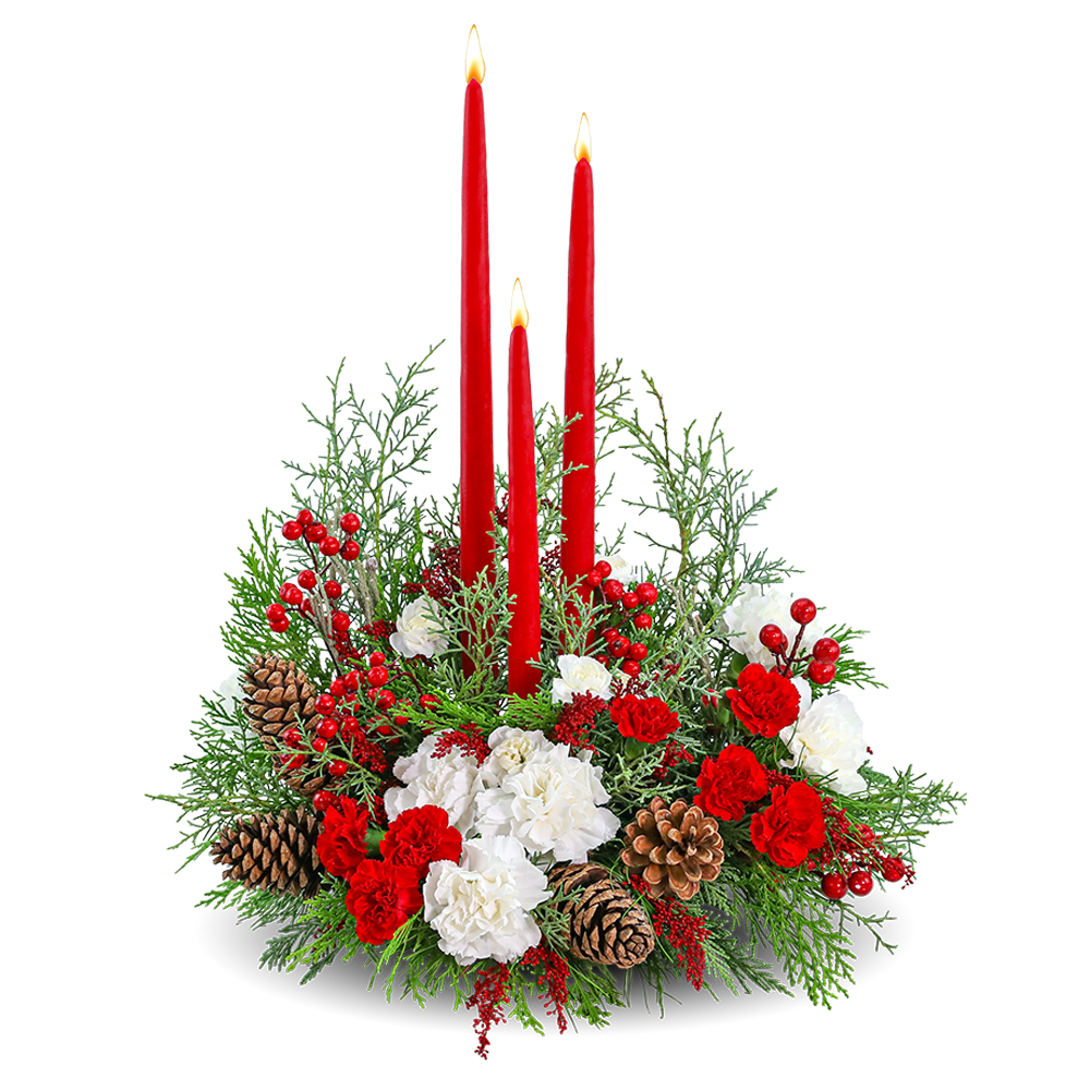 Dazzling Candlelit Night Dazzling Candlelit Night - Dazzling Candlelit Night is a mesmerizing floral design that sets the stage for an unforgettable holiday celebration. With tapered candles illuminating the beauty of Carnations, Solidago, Pinecones, and premium winter foliage, this elegant holiday centerpiece brings sophistication and warmth to your festivities, transforming your space into a captivating winter wonderland.
