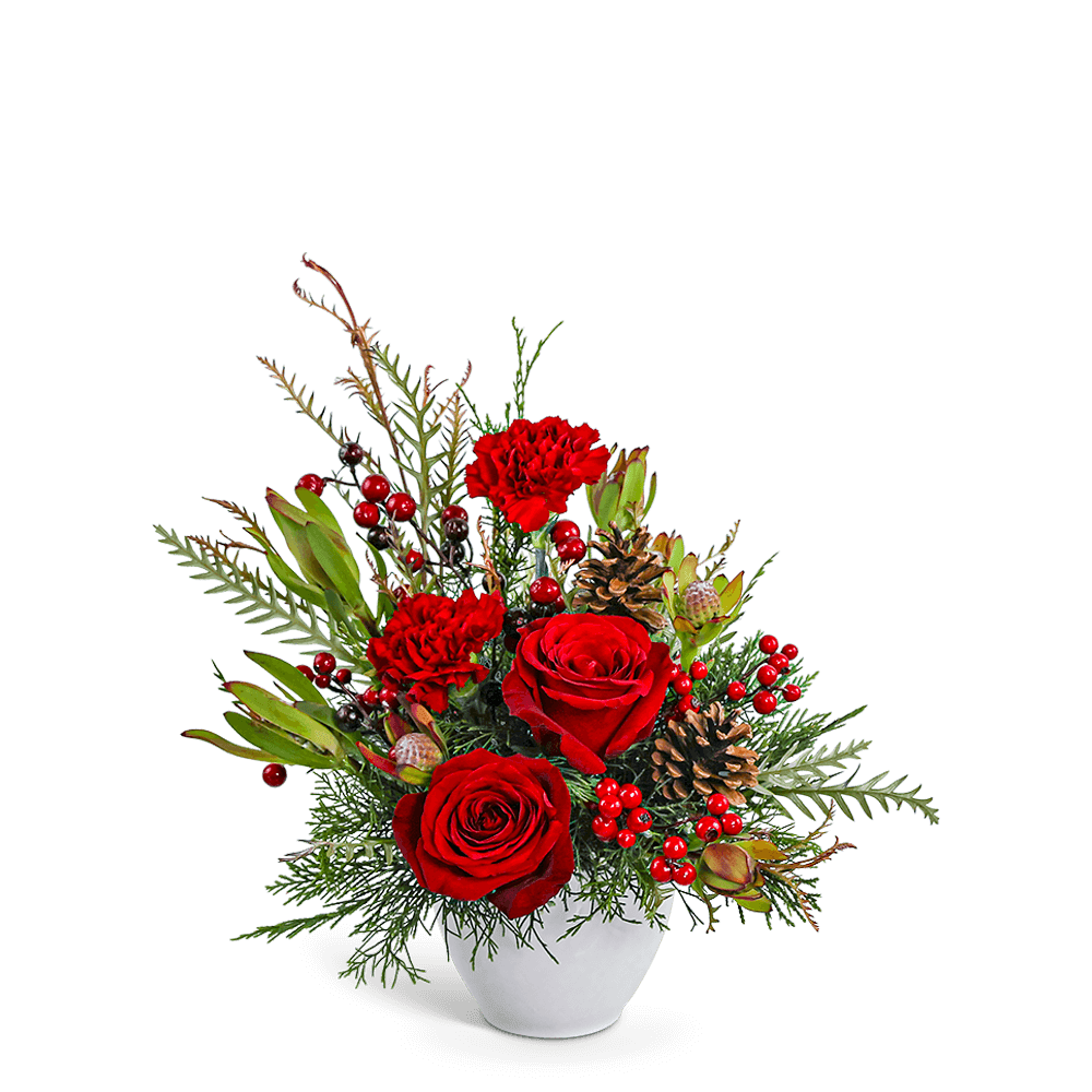 Crimson Pine Crimson Pine - Crimson Pine is a striking winter arrangement featuring Roses, Carnations, Leucadendron, Pinecones, and premium winter foliage. Designed in a classic white vase, it's perfect for adding rich seasonal color to any space. Our floral designer will make thoughtful substitutions as needed to ensure the overall look and feel is beautifully maintained.